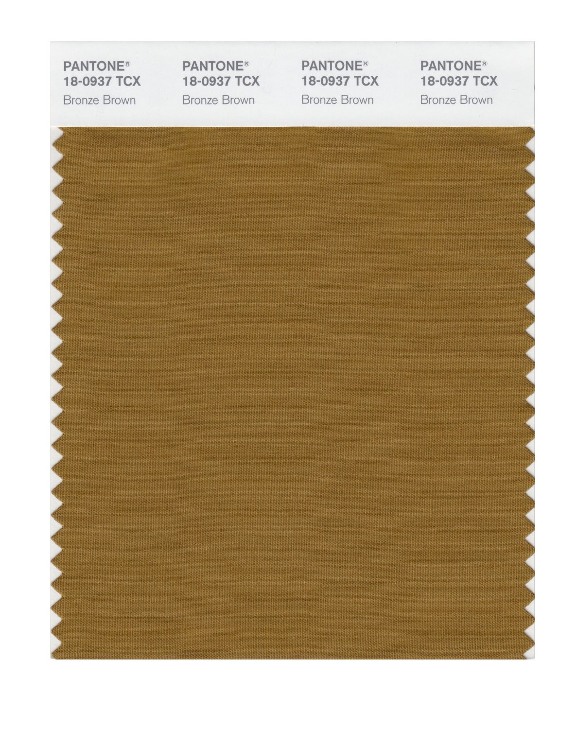 Pantone Cotton Swatch 18-0937 Bronze Brown