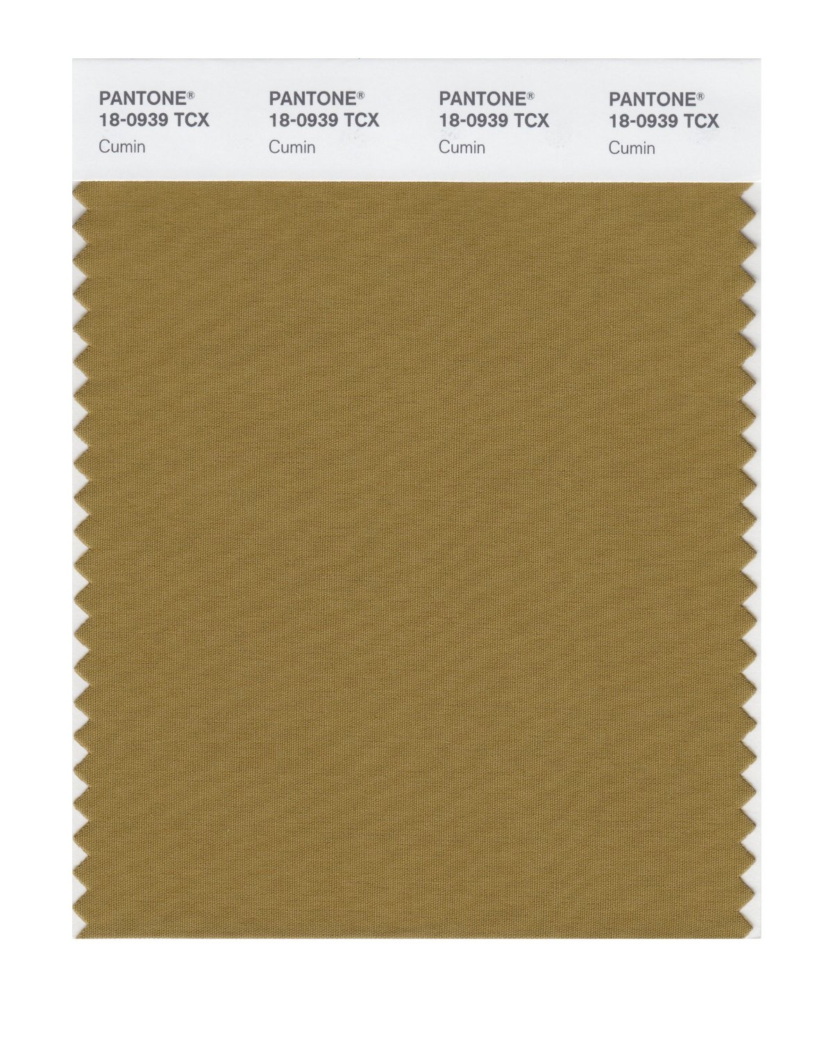 Pantone Cotton Swatch 18-0939 Cumin