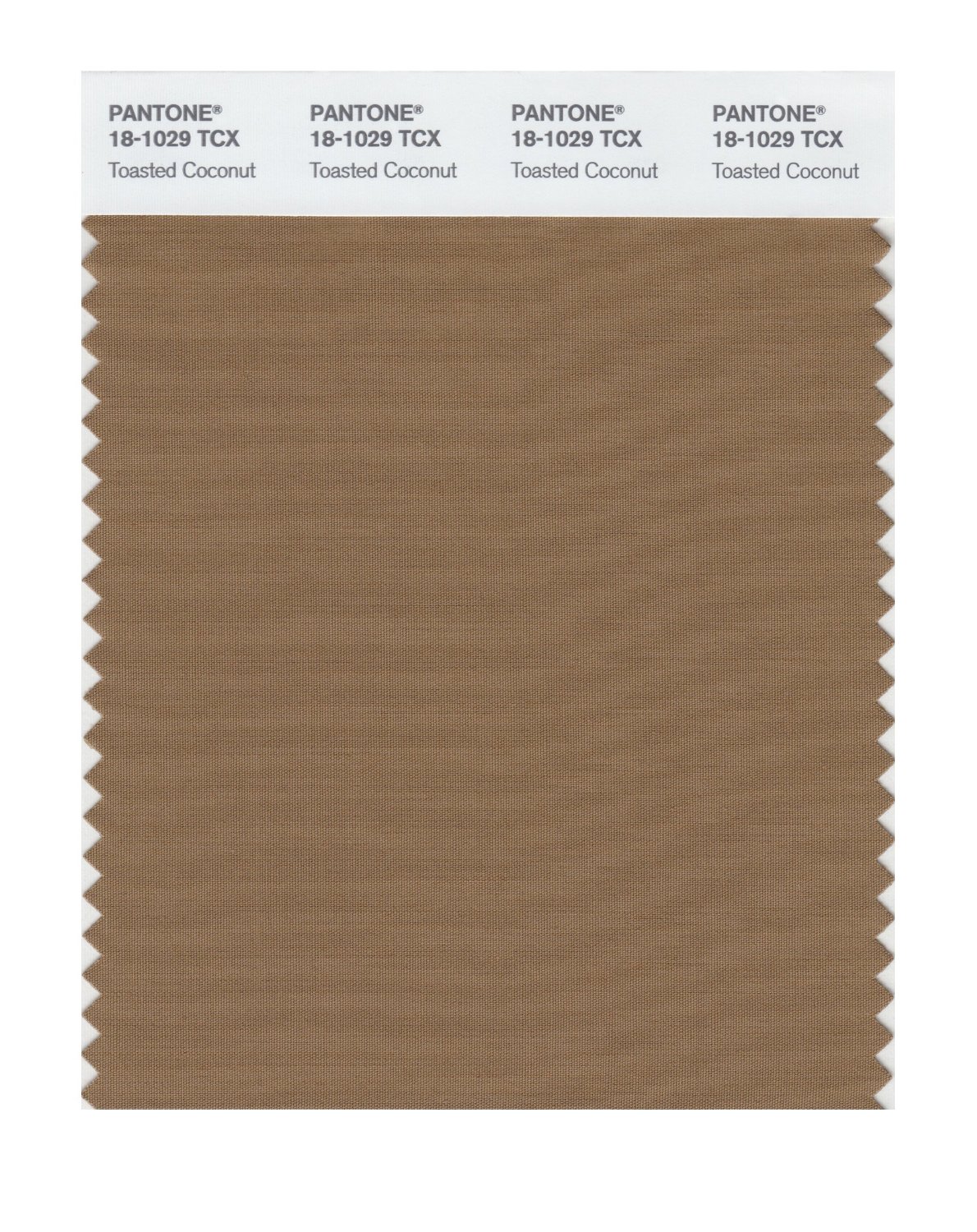 Pantone Cotton Swatch 18-1029 Toasted Coconut