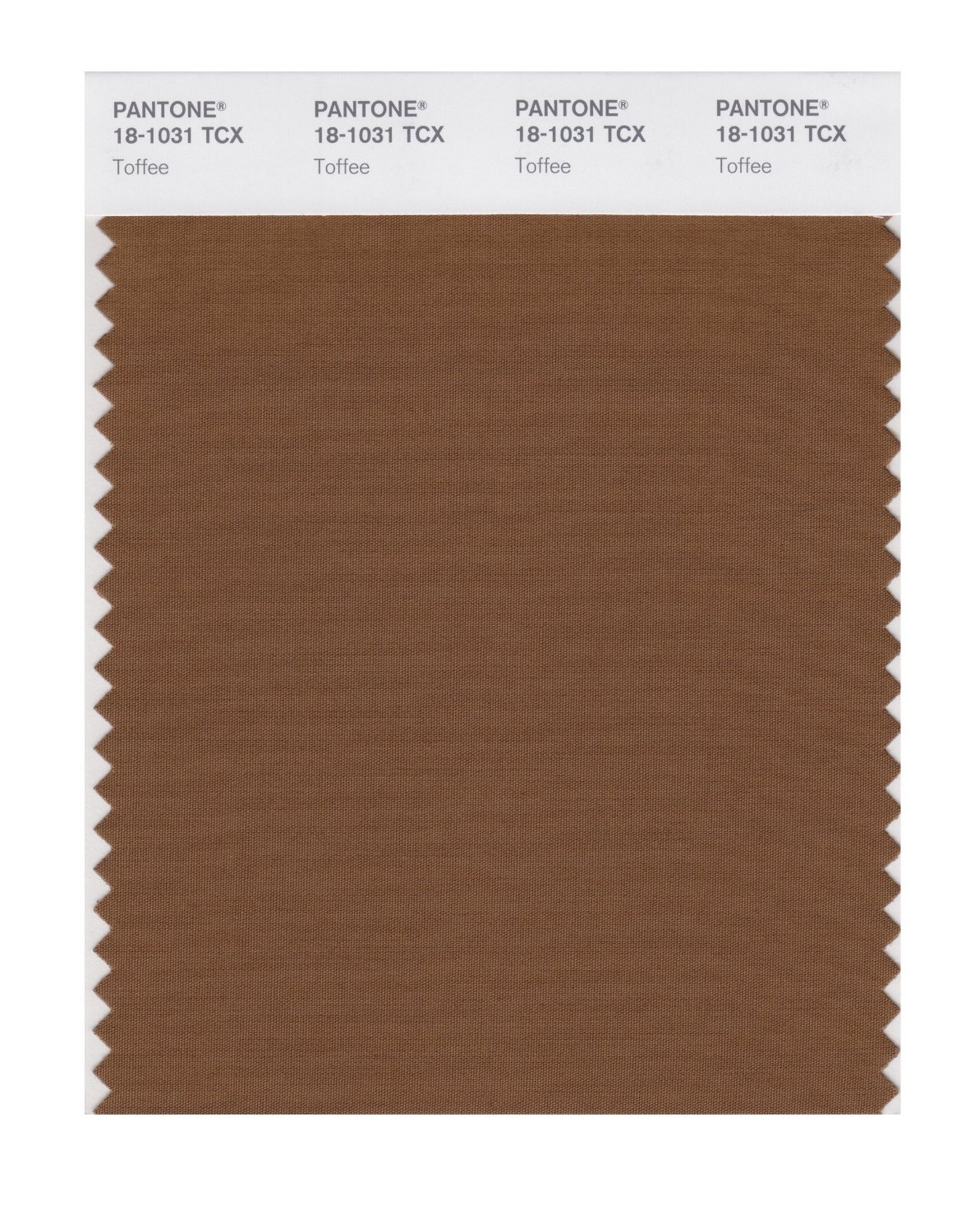 Pantone Cotton Swatch 18-1031 Toffee