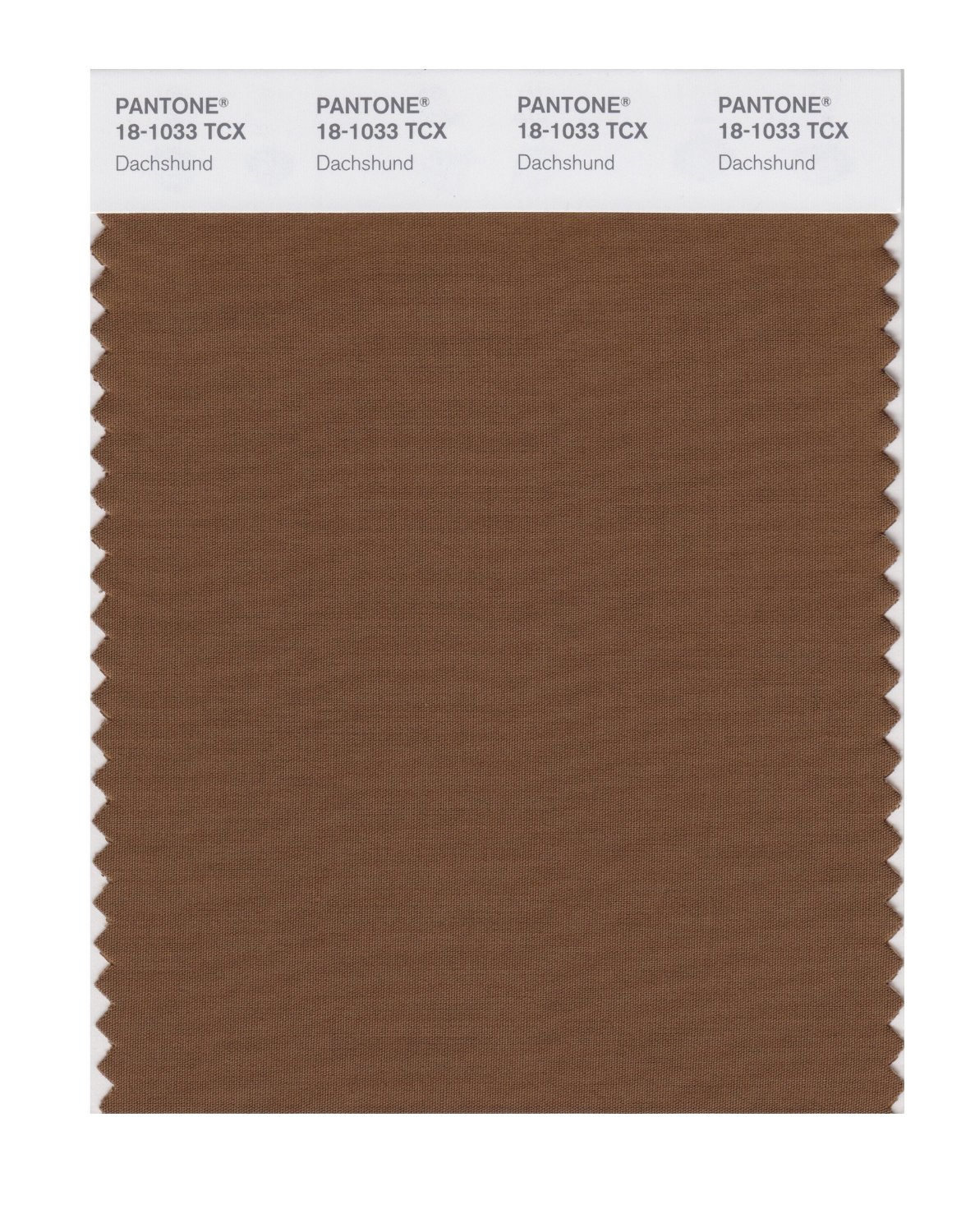 Pantone Cotton Swatch 18-1033 Dachshund