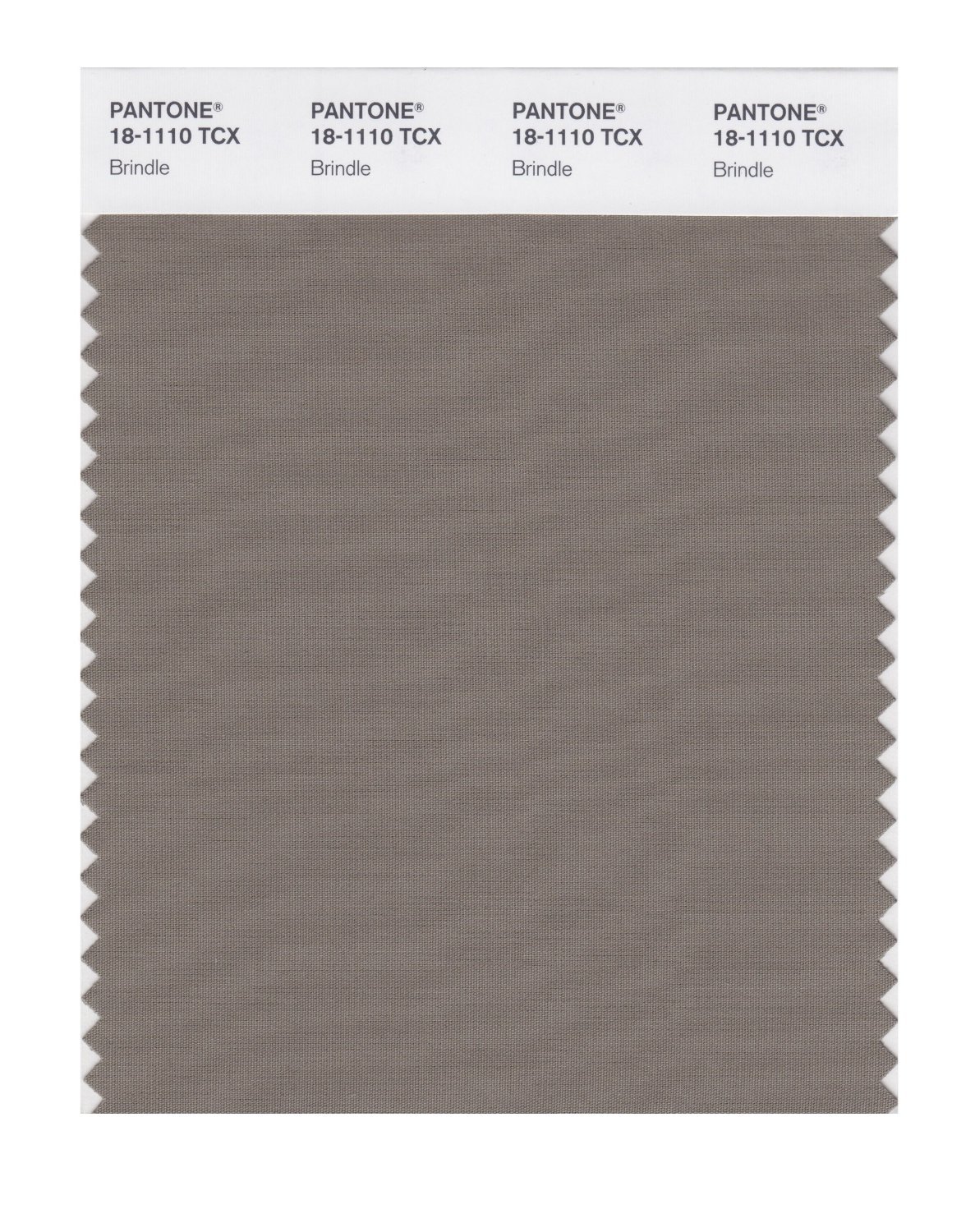 Pantone Cotton Swatch 18-1110 Brindle