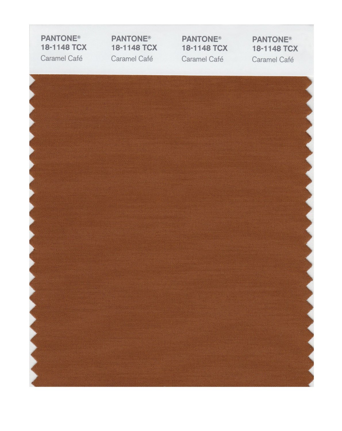 Pantone Cotton Swatch 18-1148 Caramel Cafe