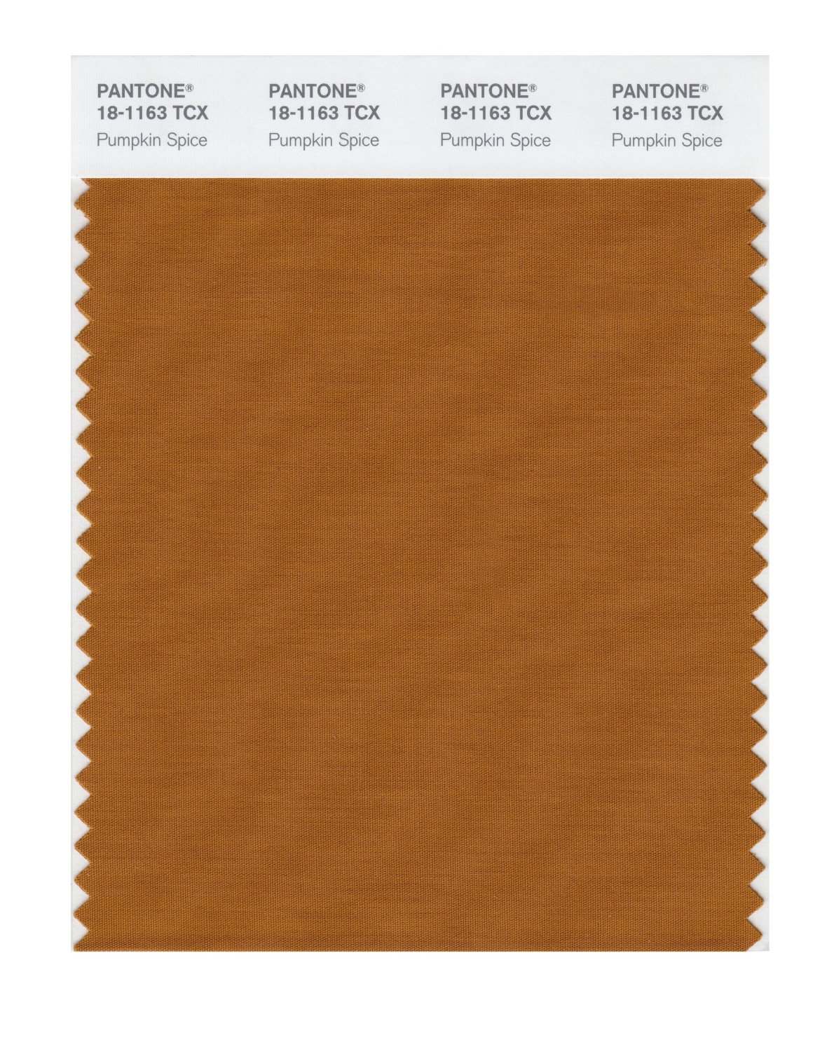 Pantone Cotton Swatch 18-1163 Pumpkin Spice