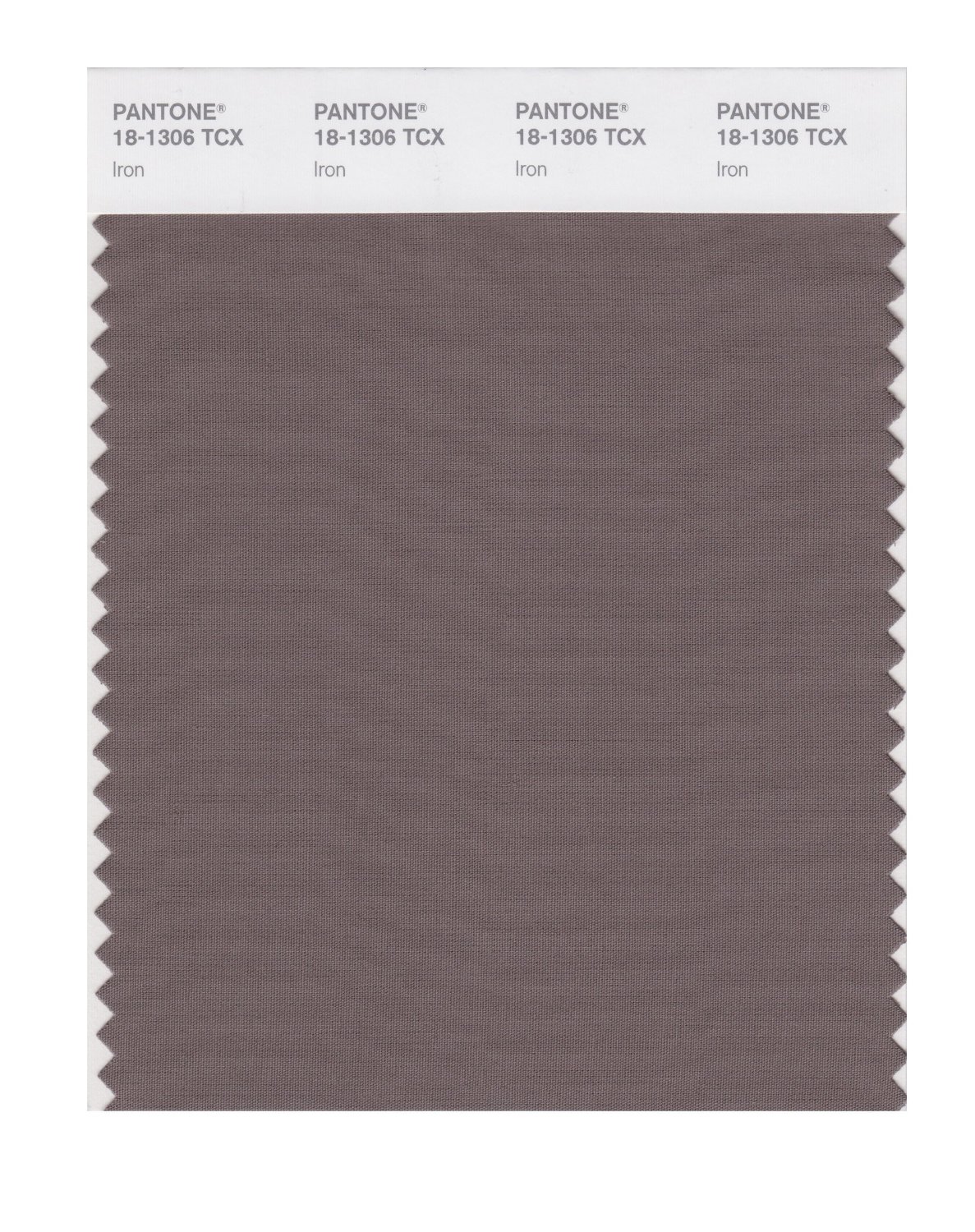 Pantone Cotton Swatch 18-1306 Iron