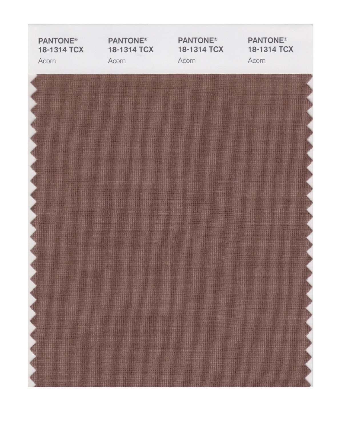 Pantone Cotton Swatch 18-1314 Acorn