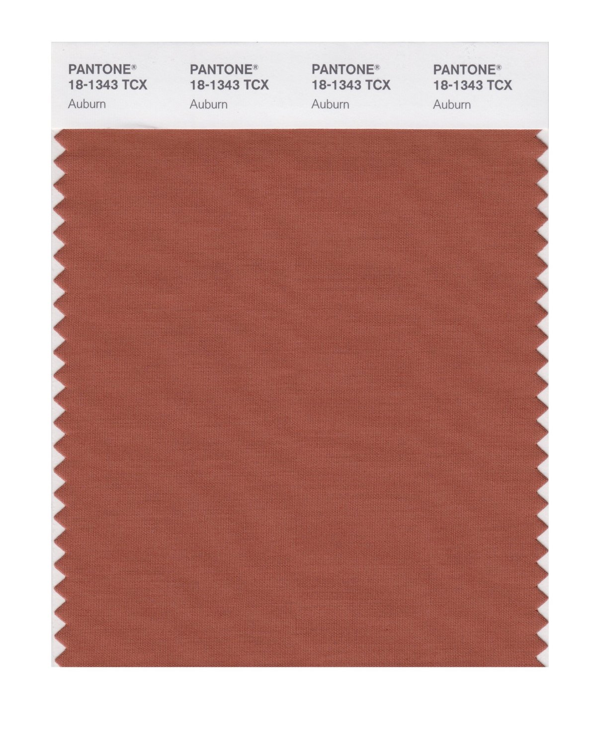 Pantone Cotton Swatch 18-1343 Auburn