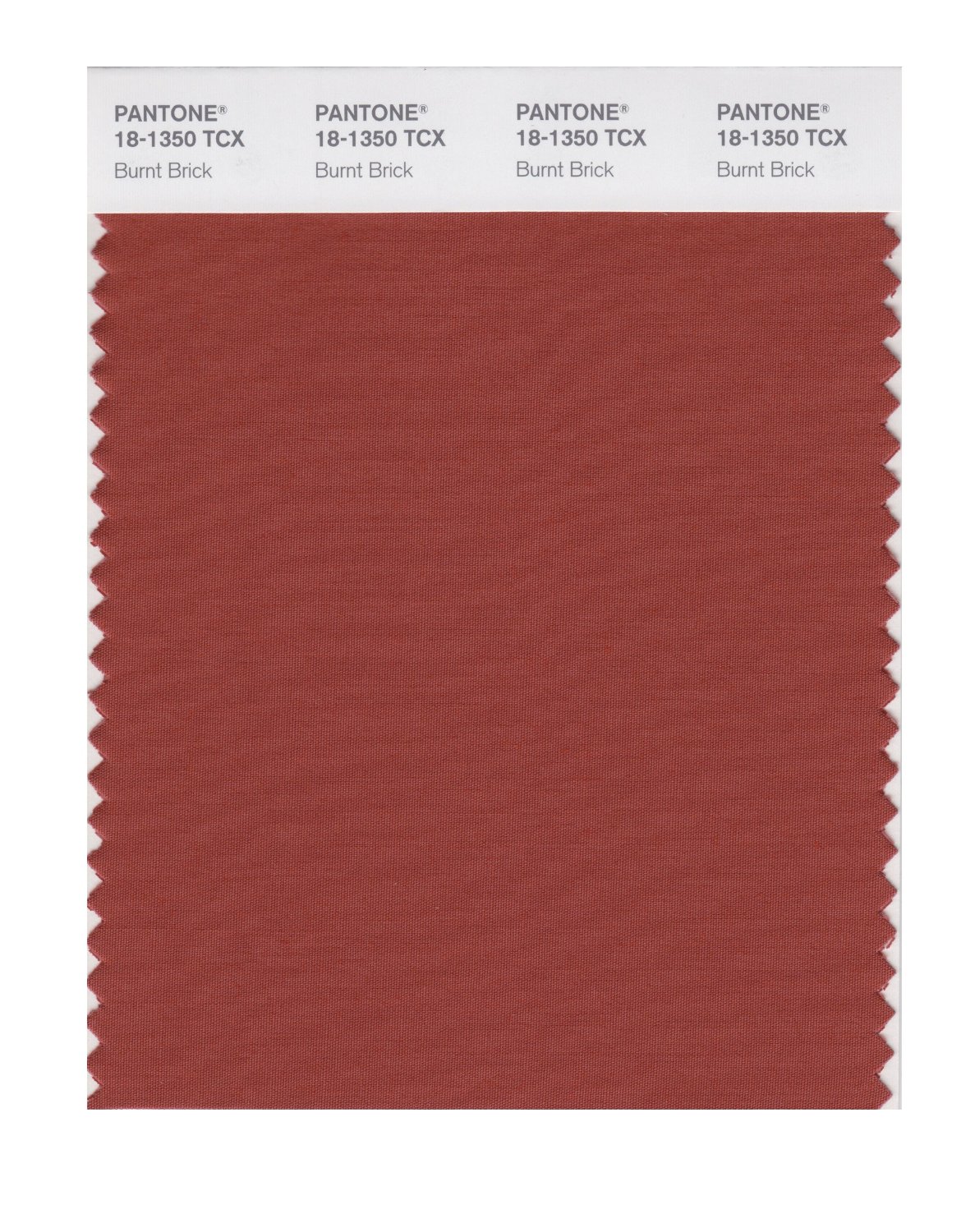 Pantone Cotton Swatch 18-1350 Burnt Brick