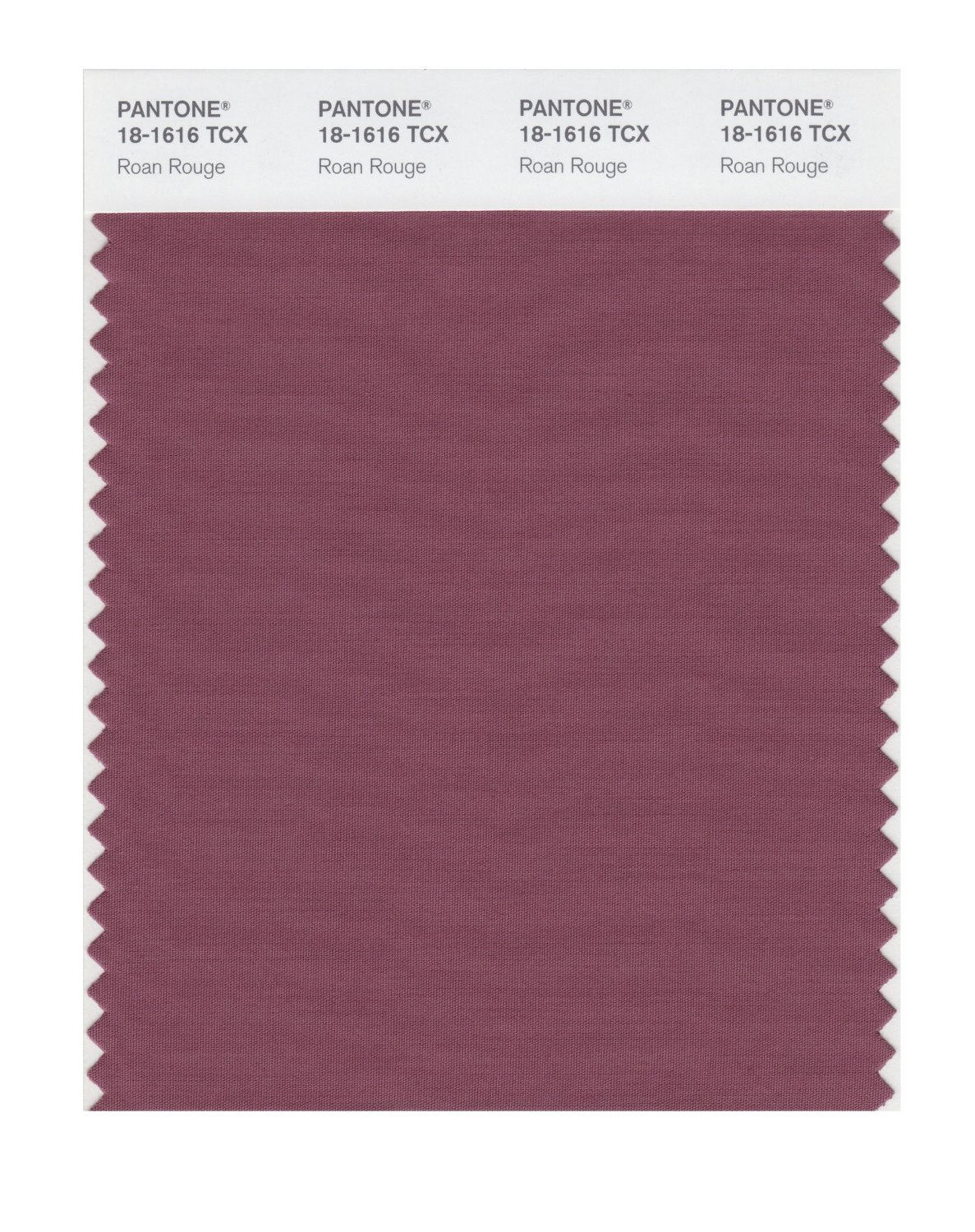 Pantone Cotton Swatch 18-1616 Roan Rouge