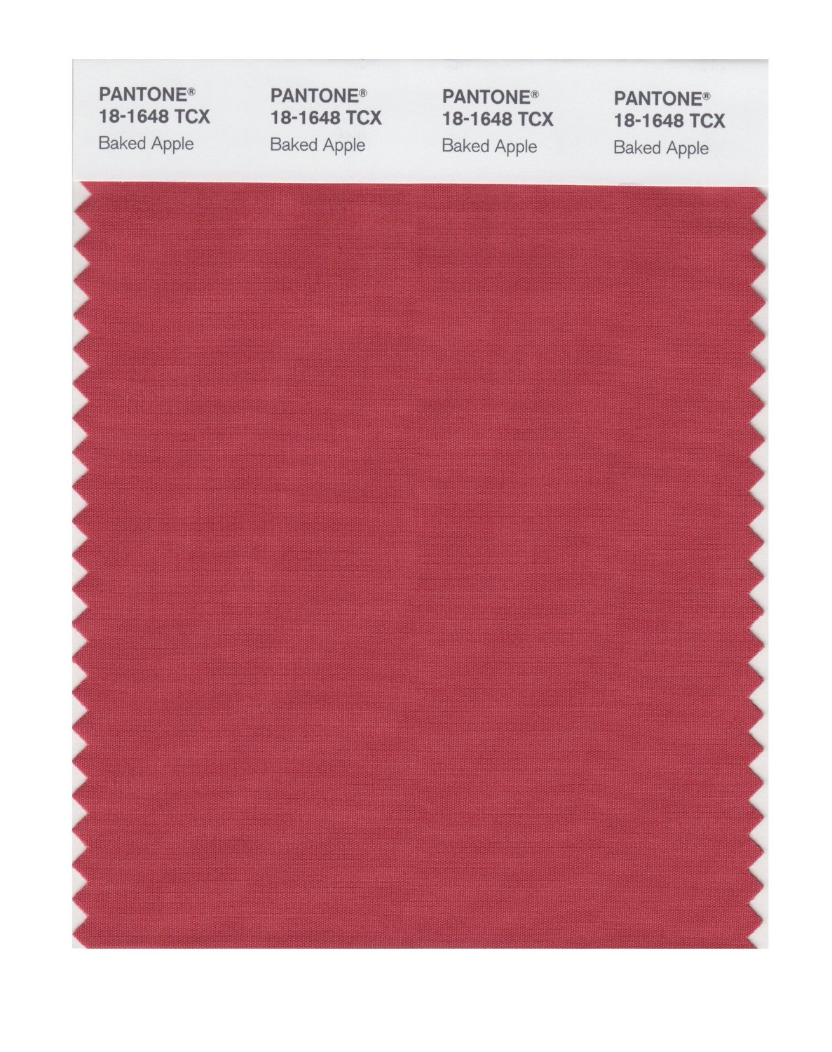 Pantone Cotton Swatch 18-1648 Baked Apple