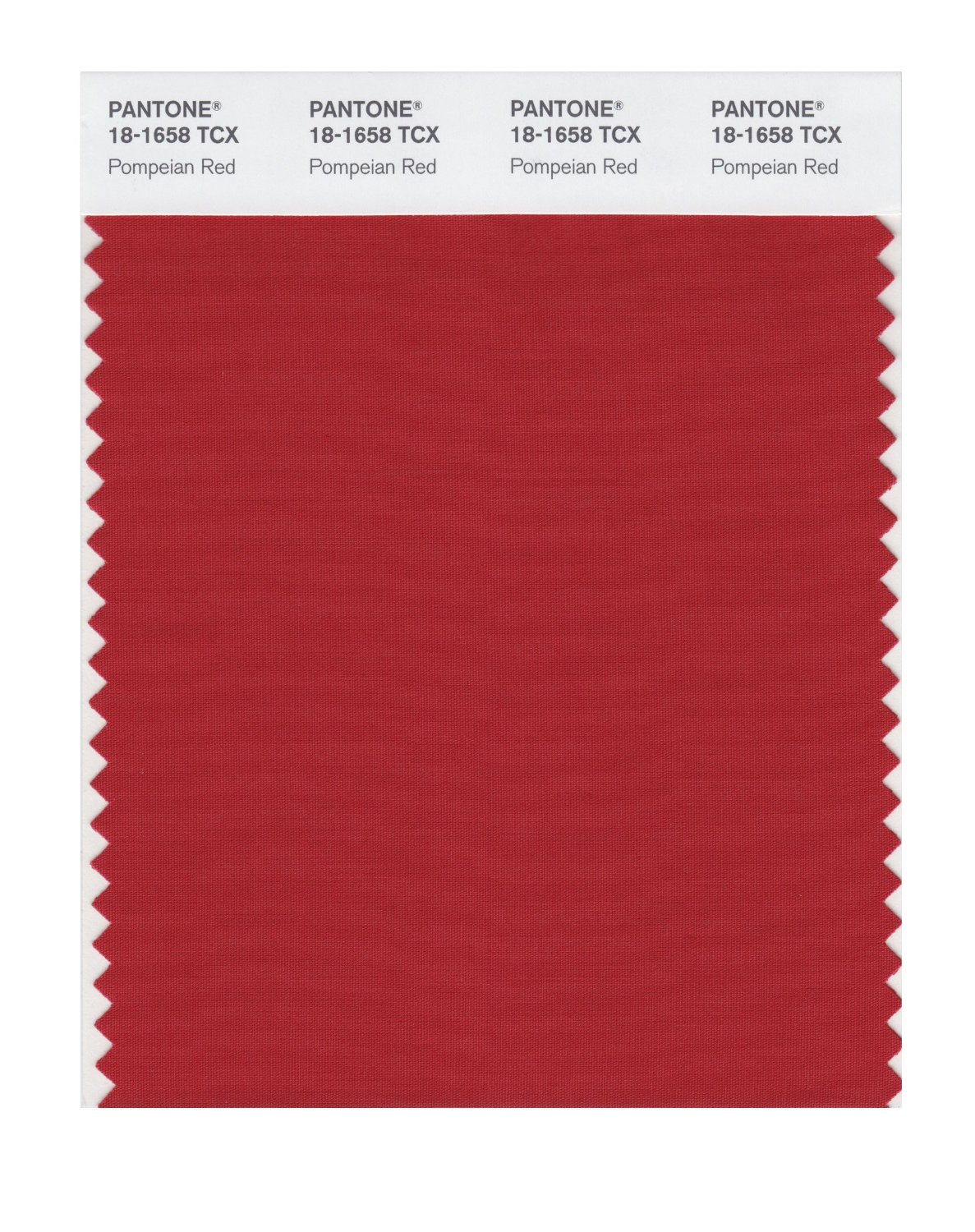 Pantone Cotton Swatch 18-1658 Pompeian Red