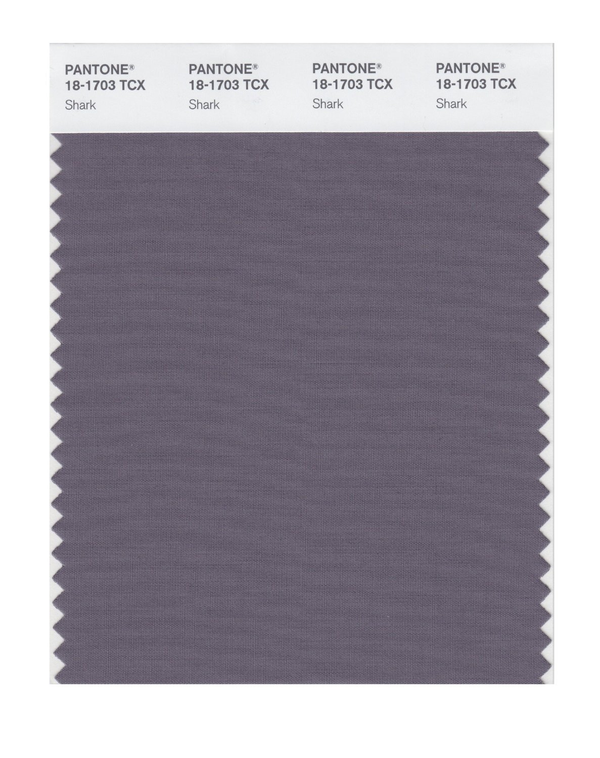 Pantone Cotton Swatch 18-1703 Shark