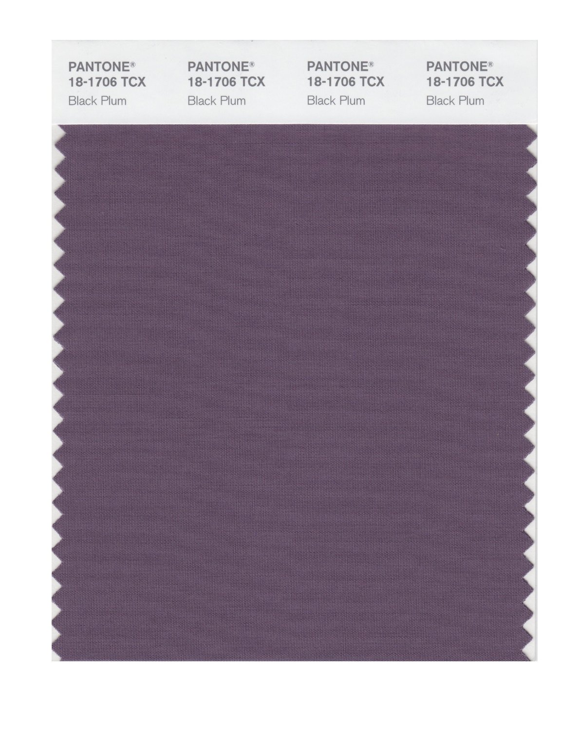 Pantone Cotton Swatch 18-1706 Black Plum