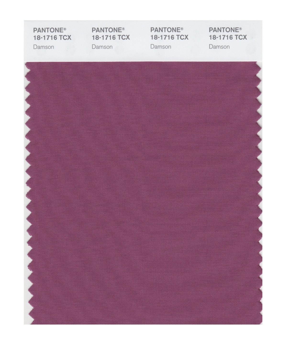 Pantone Cotton Swatch 18-1716 Damson