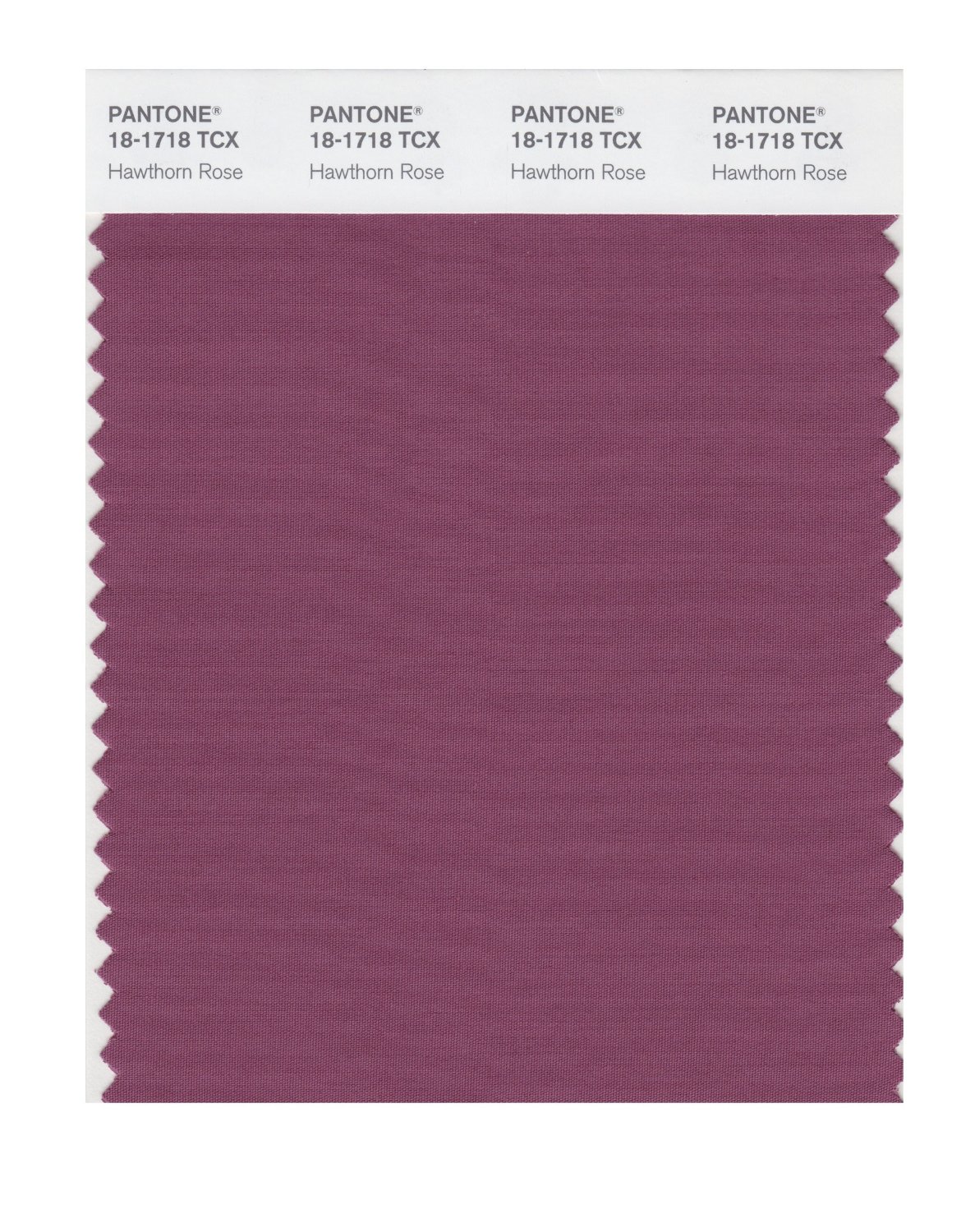 Pantone Cotton Swatch 18-1718 Hawthorn Rose