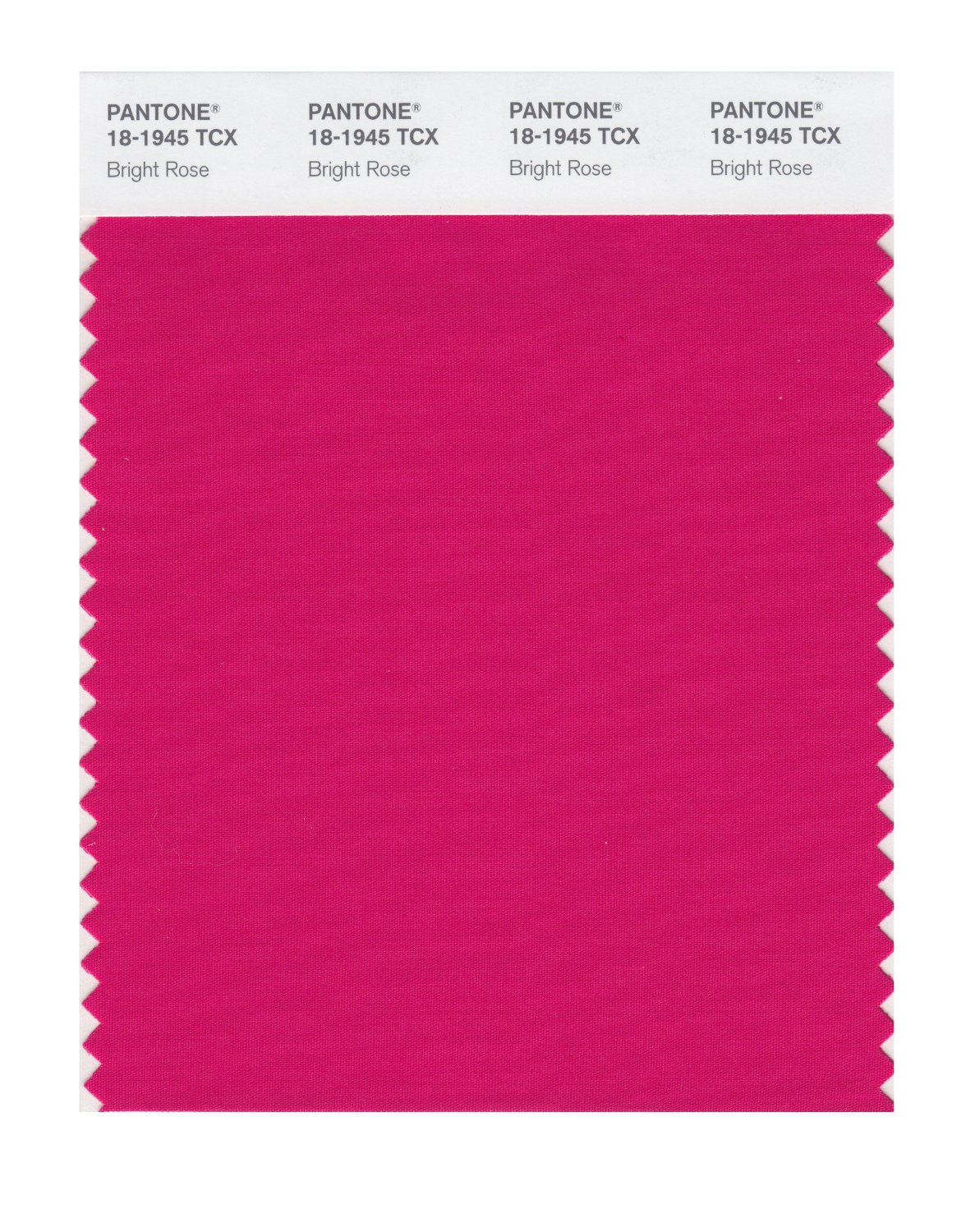 Pantone Cotton Swatch 18-1945 Bright Rose