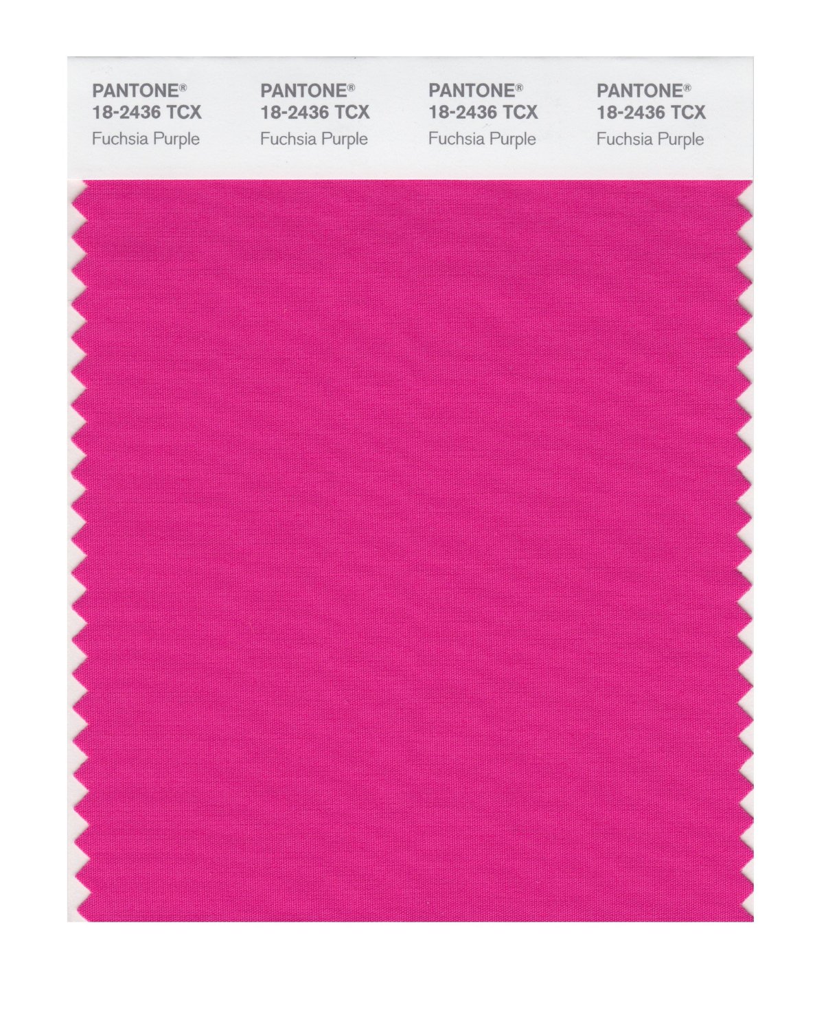 Pantone Cotton Swatch 18-2436 Fuchsia Purple