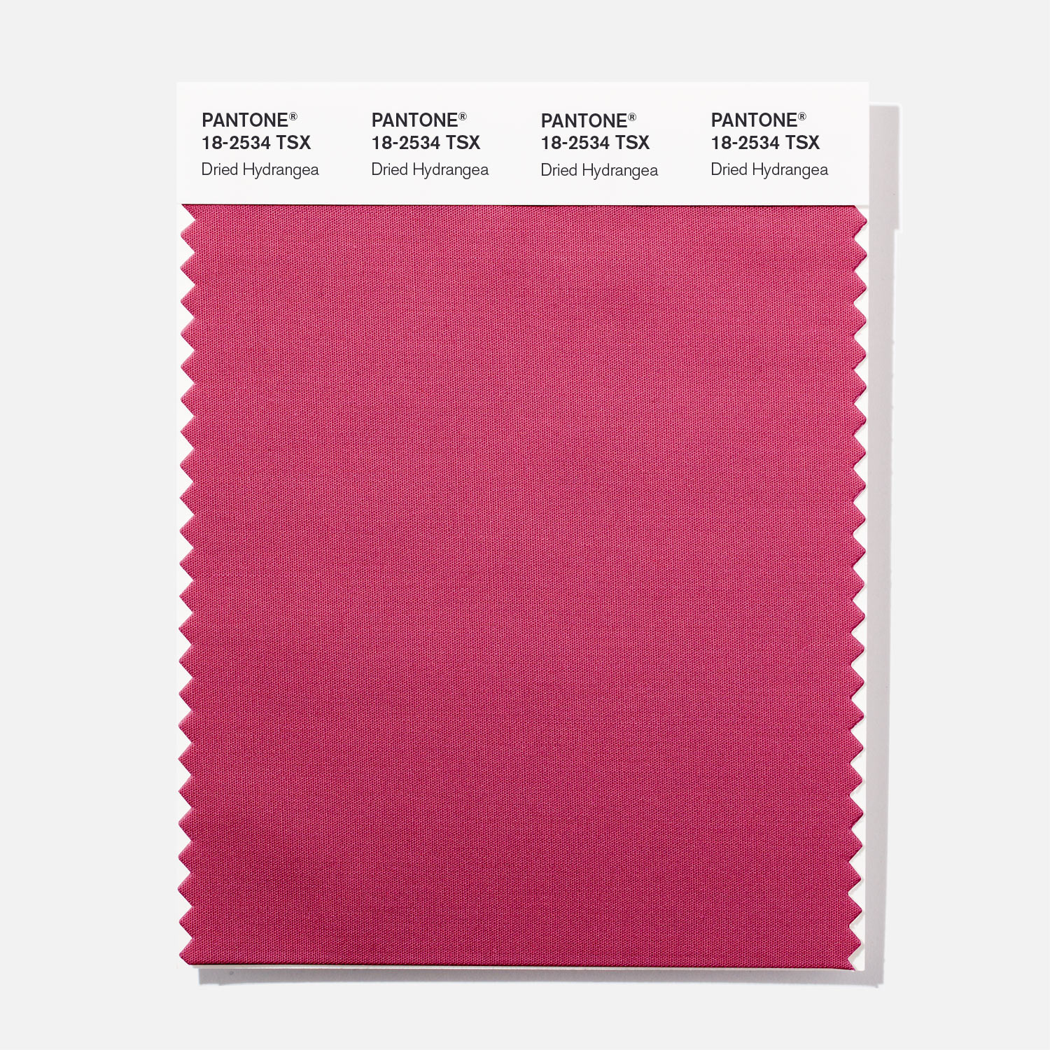 Pantone Polyester Swatch 18-2534 Dried Hydran