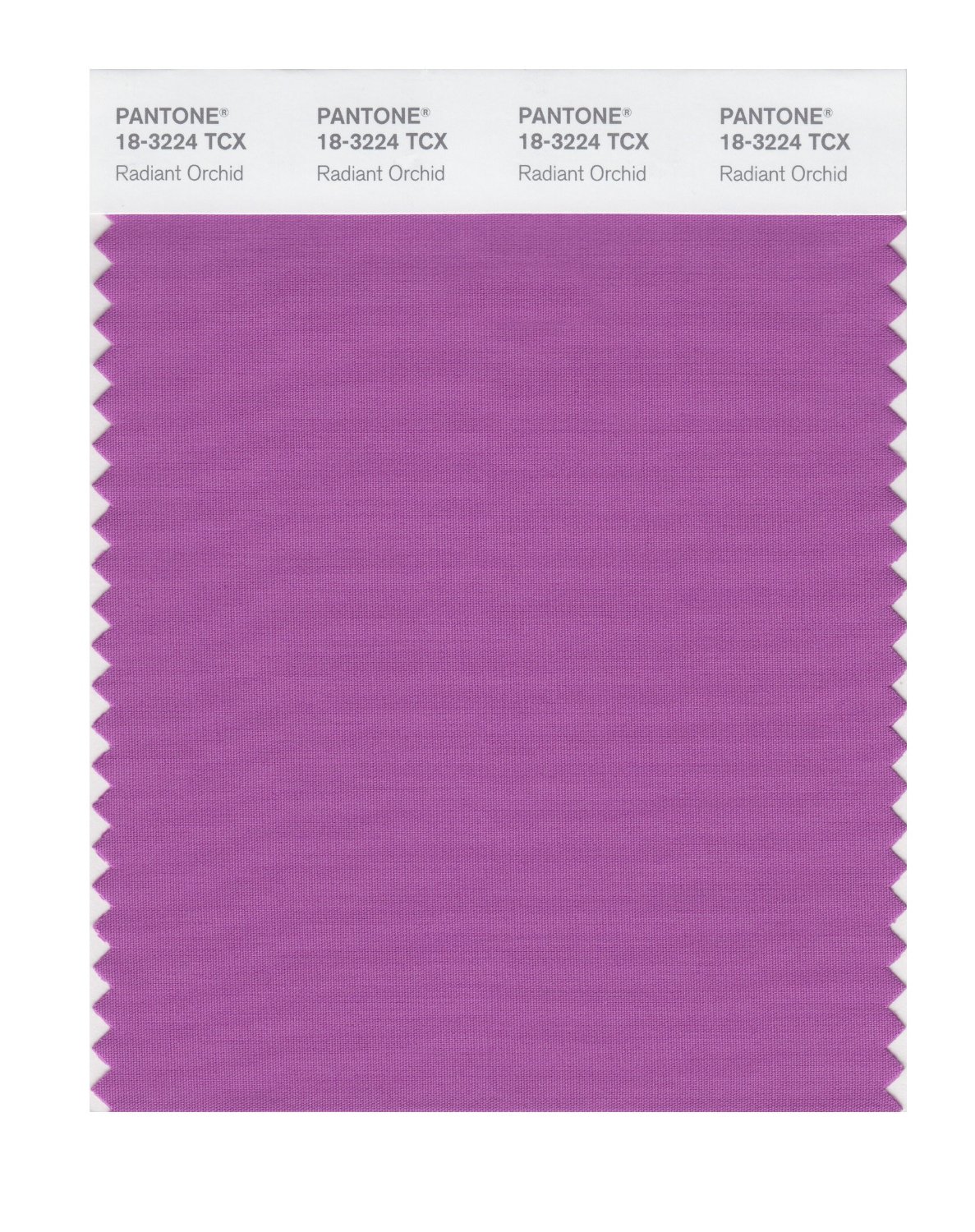 Pantone Cotton Swatch 18-3224 Radiant Orchid