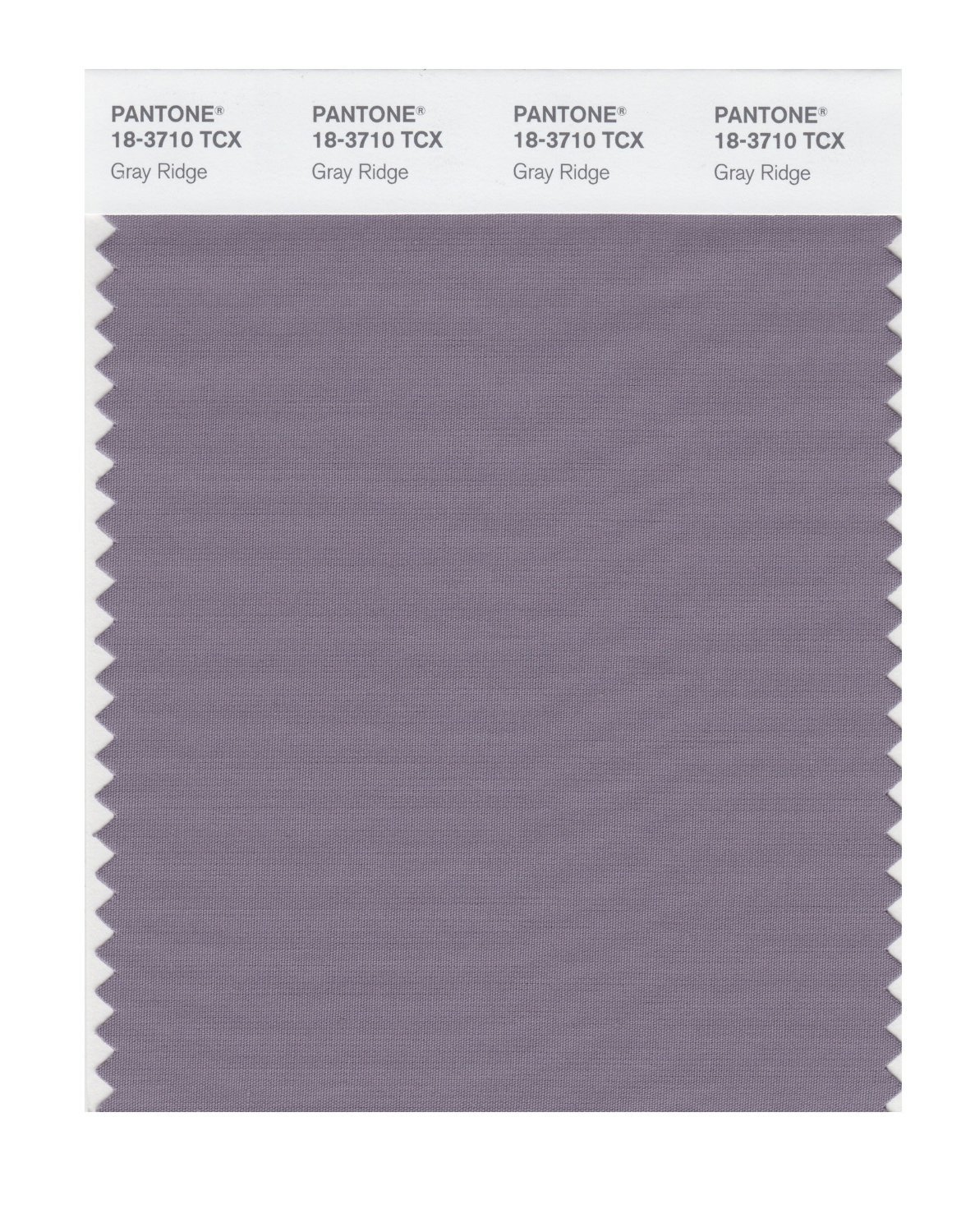 Pantone Cotton Swatch 18-3710 Gray Ridge