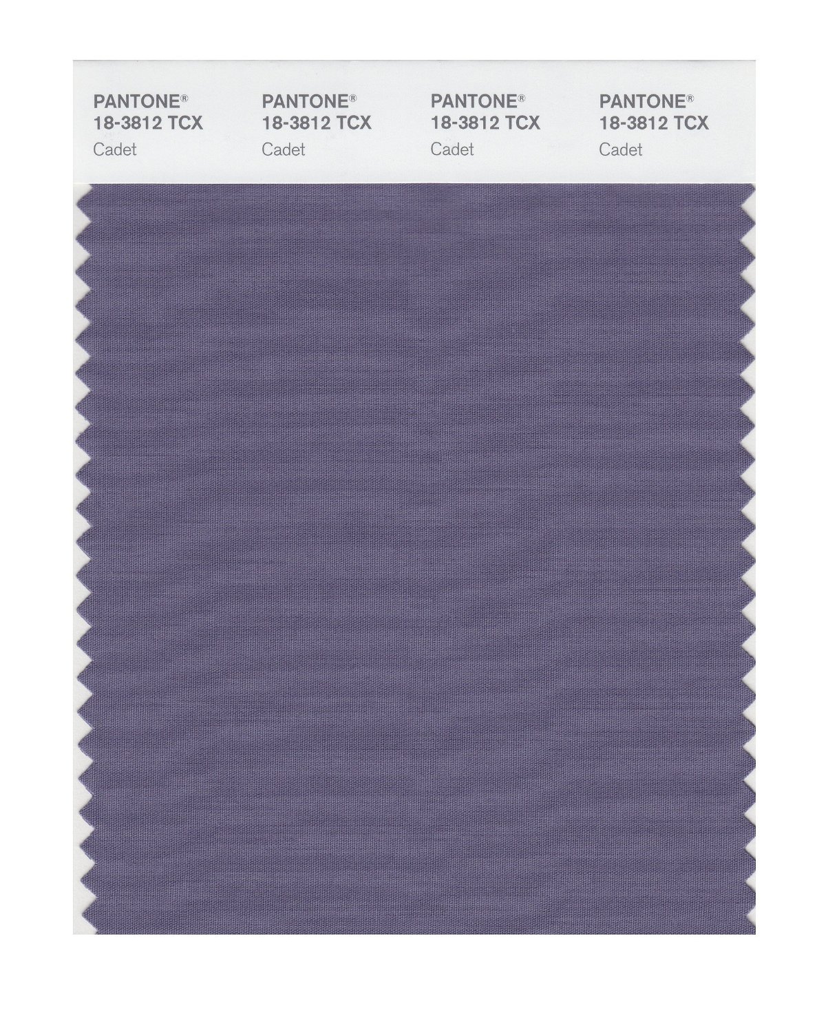 Pantone Cotton Swatch 18-3812 Cadet