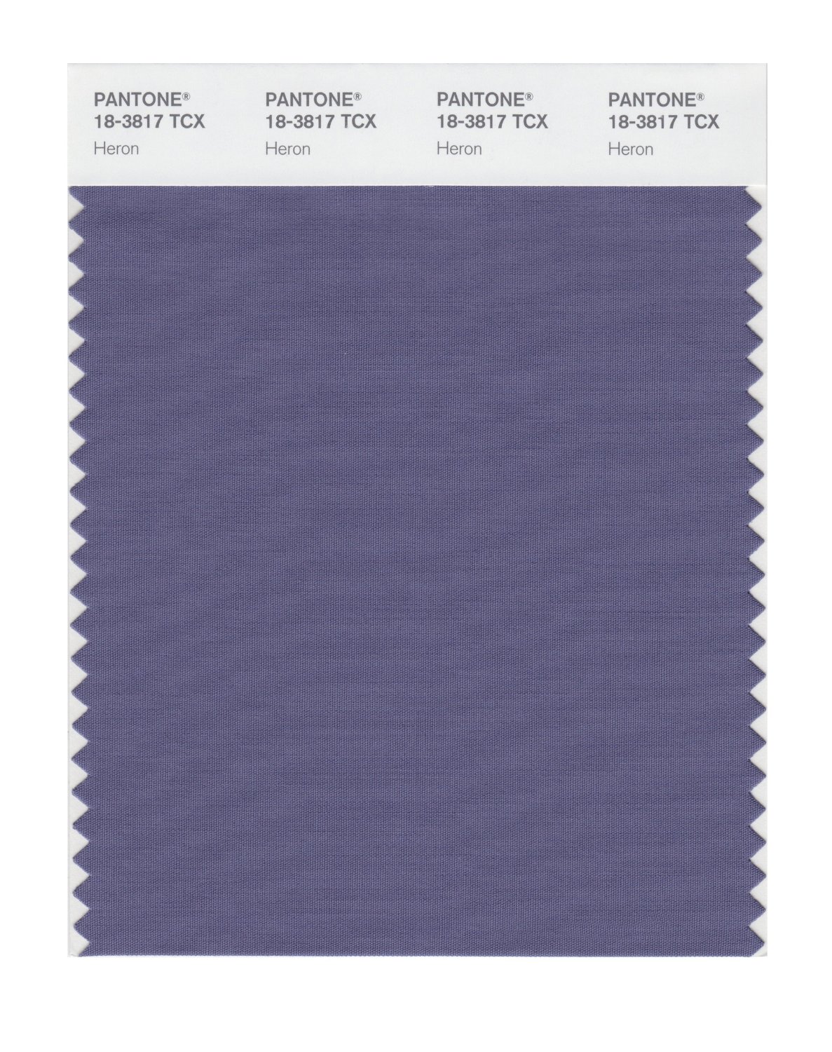 Pantone Cotton Swatch 18-3817 Heron