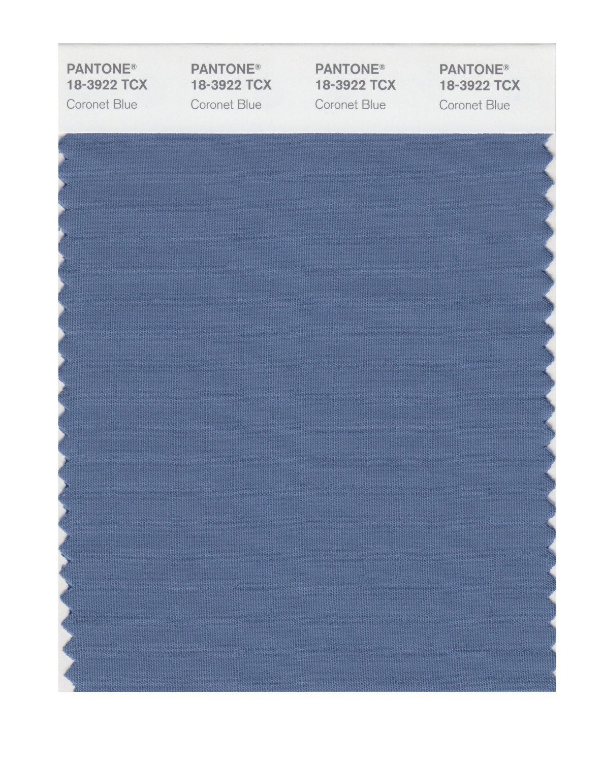 Pantone Cotton Swatch 18-3922 Coronet Blue