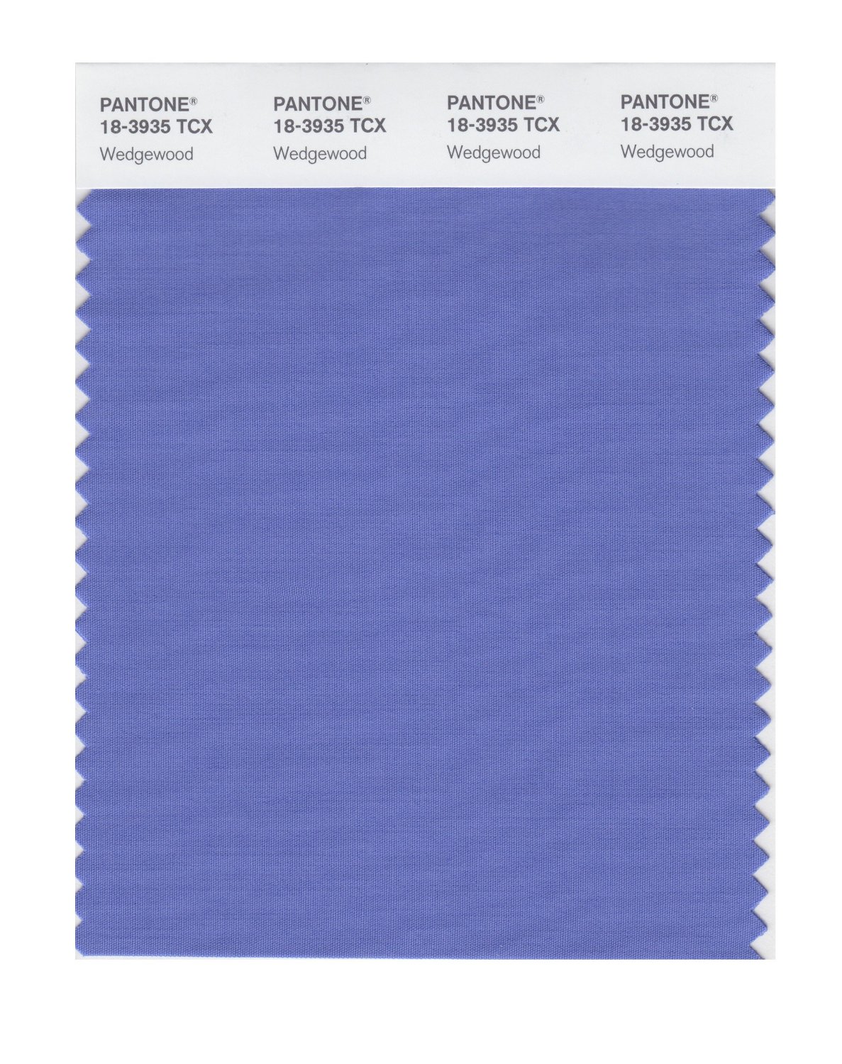 Pantone Cotton Swatch 18-3935 Wedgewood