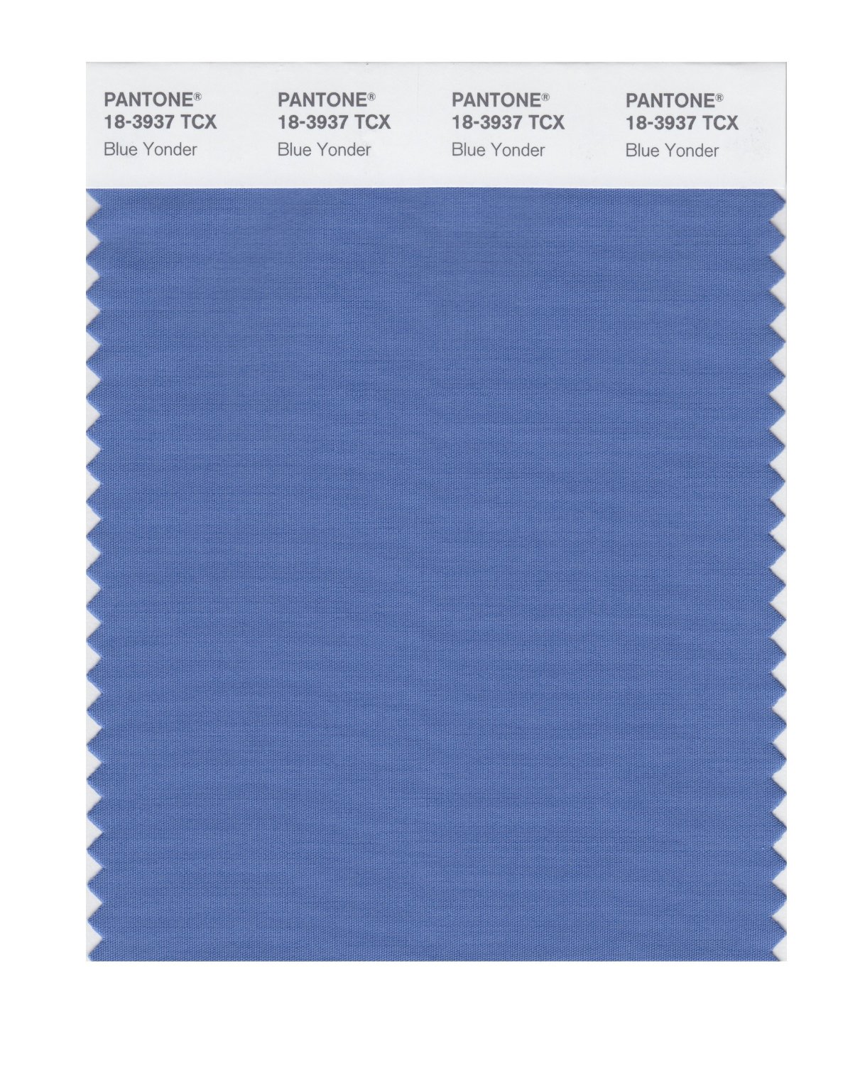 Pantone Cotton Swatch 18-3937 Blue Yonder