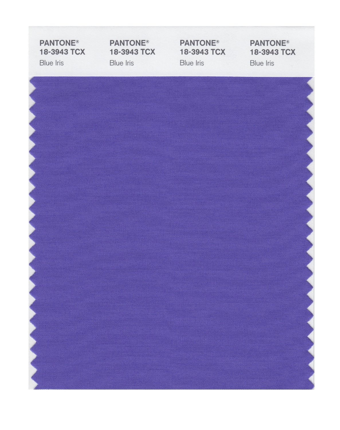 Pantone Cotton Swatch 18-3943 Blue Iris