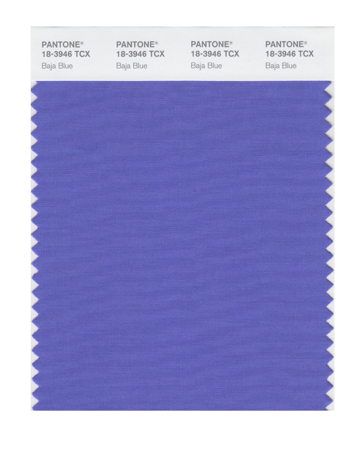 Pantone Cotton Swatch 18-3946 Baja Blue