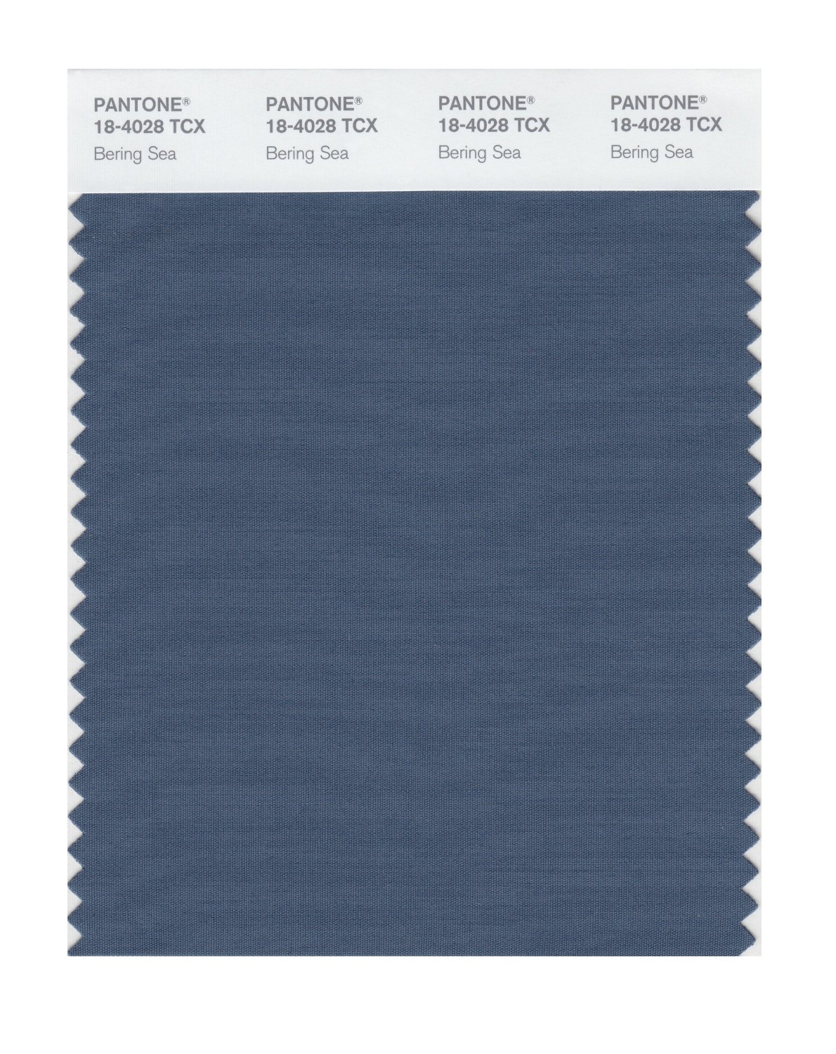 Pantone Cotton Swatch 18-4028 Bering Sea