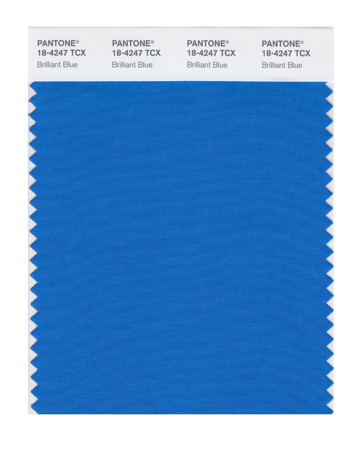 Pantone Cotton Swatch 18-4247 Brilliant Blue