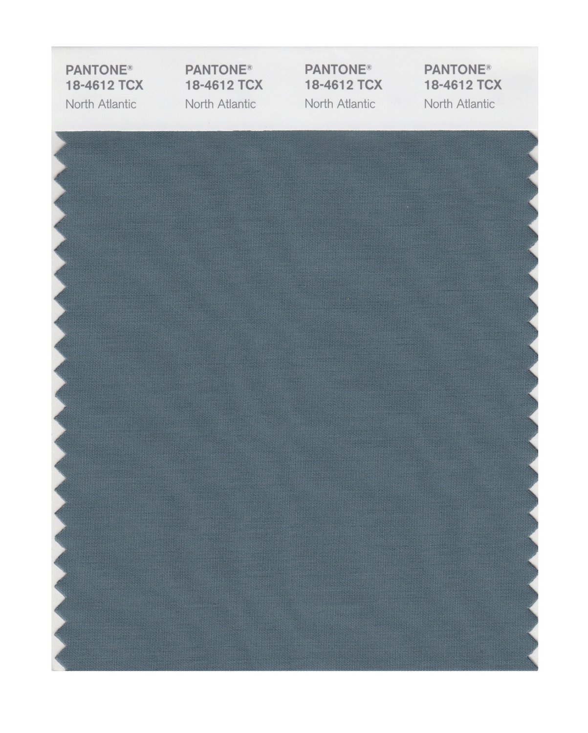 Pantone Cotton Swatch 18-4612 North Atlantic