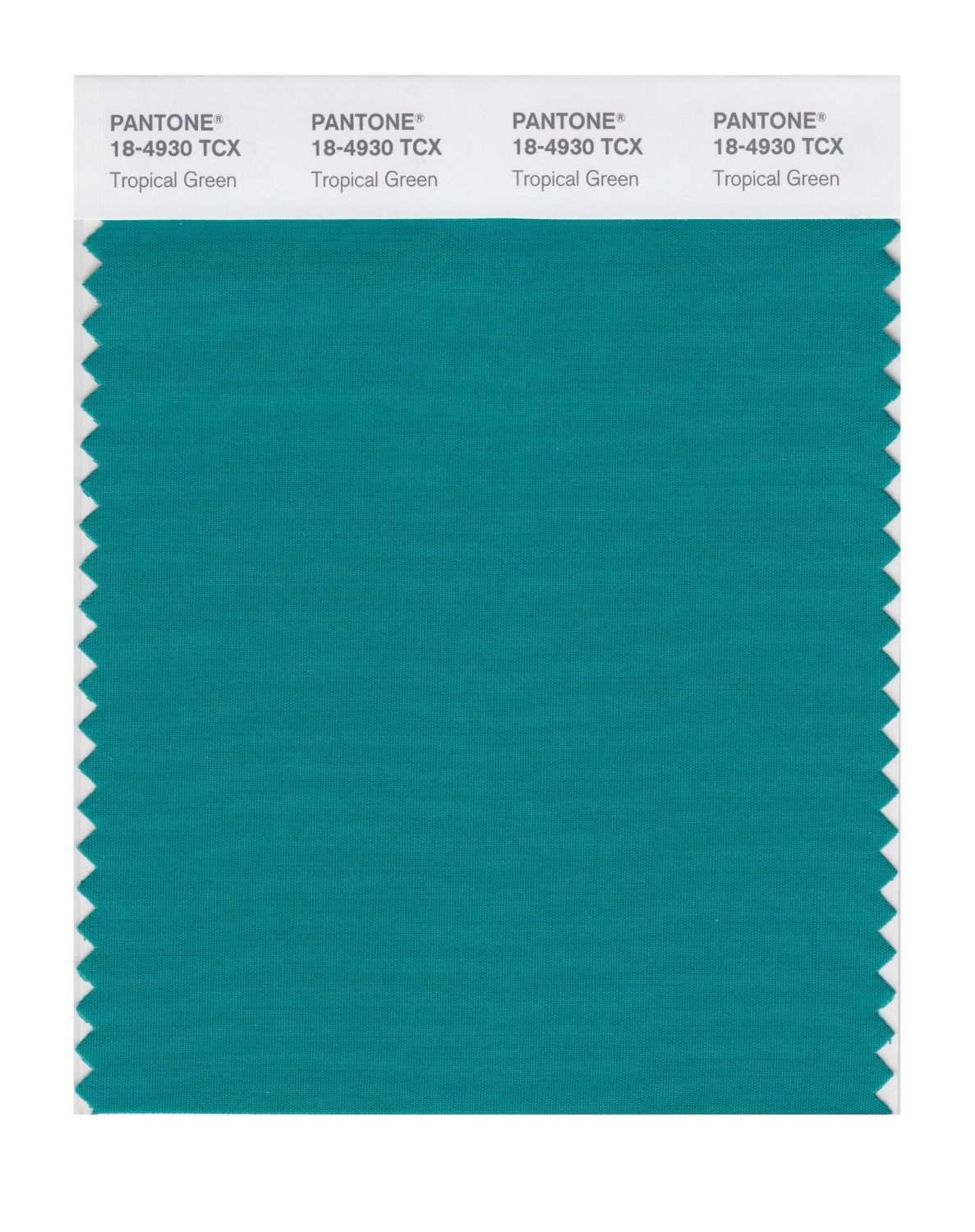 Pantone Cotton Swatch 18-4930 Tropical Green