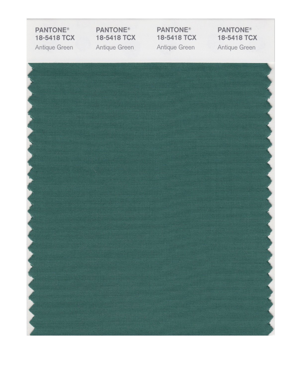 Pantone Cotton Swatch 18-5418 Antique Green