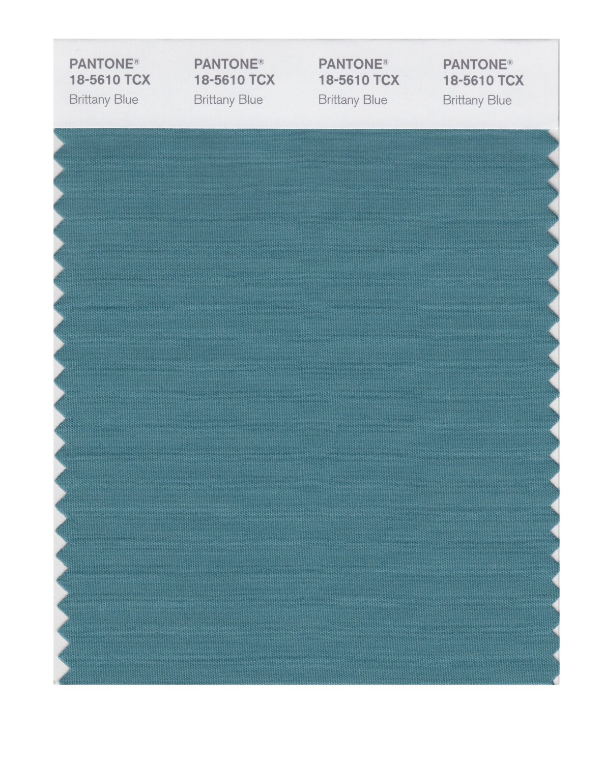 Pantone Cotton Swatch 18-5610 Brittany Blue