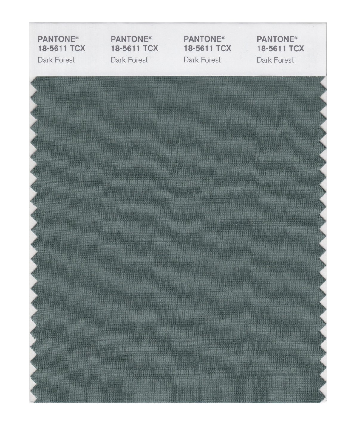 Pantone Cotton Swatch 18-5611 Dark Forest