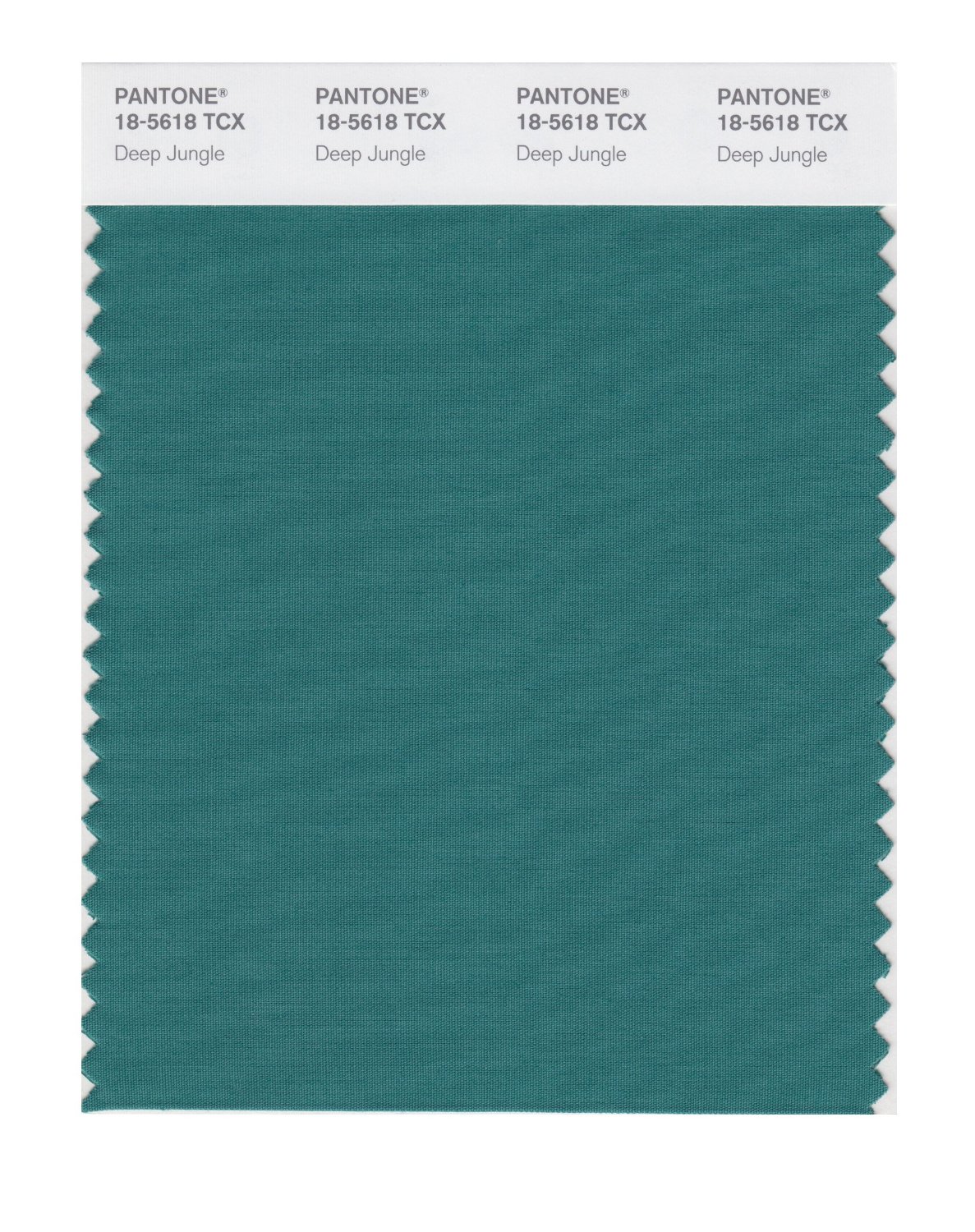 Pantone Cotton Swatch 18-5618 Deep Jungle