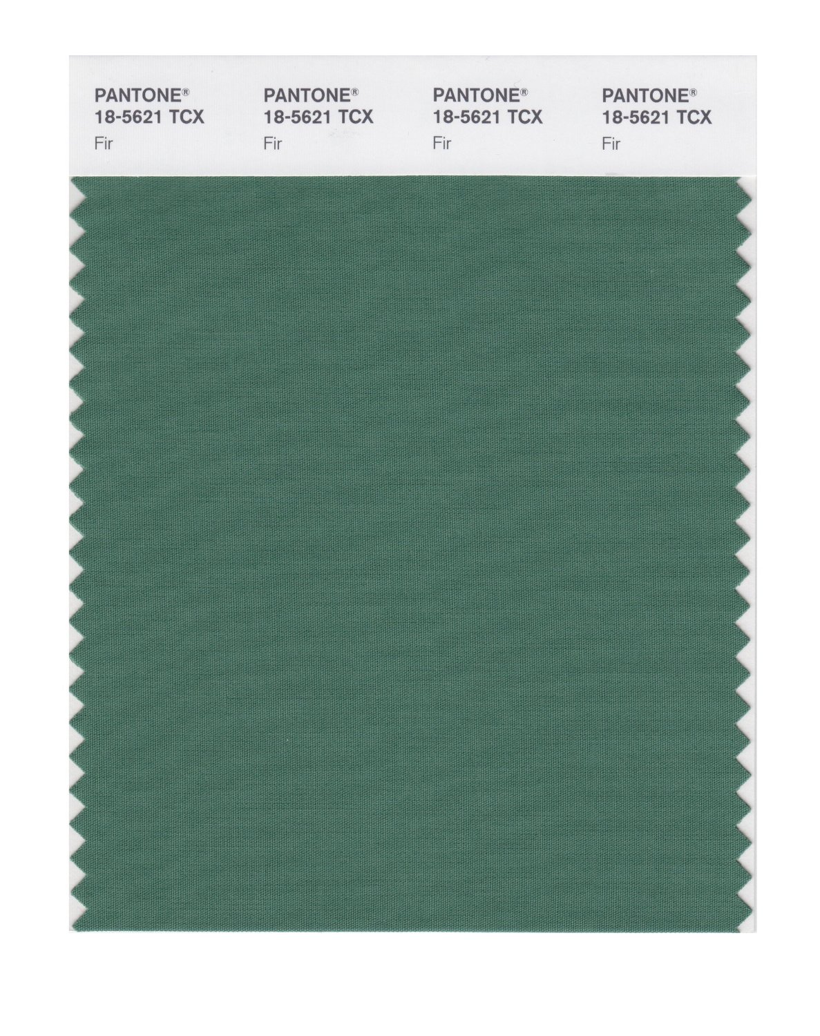 Pantone Cotton Swatch 18-5621 Fir