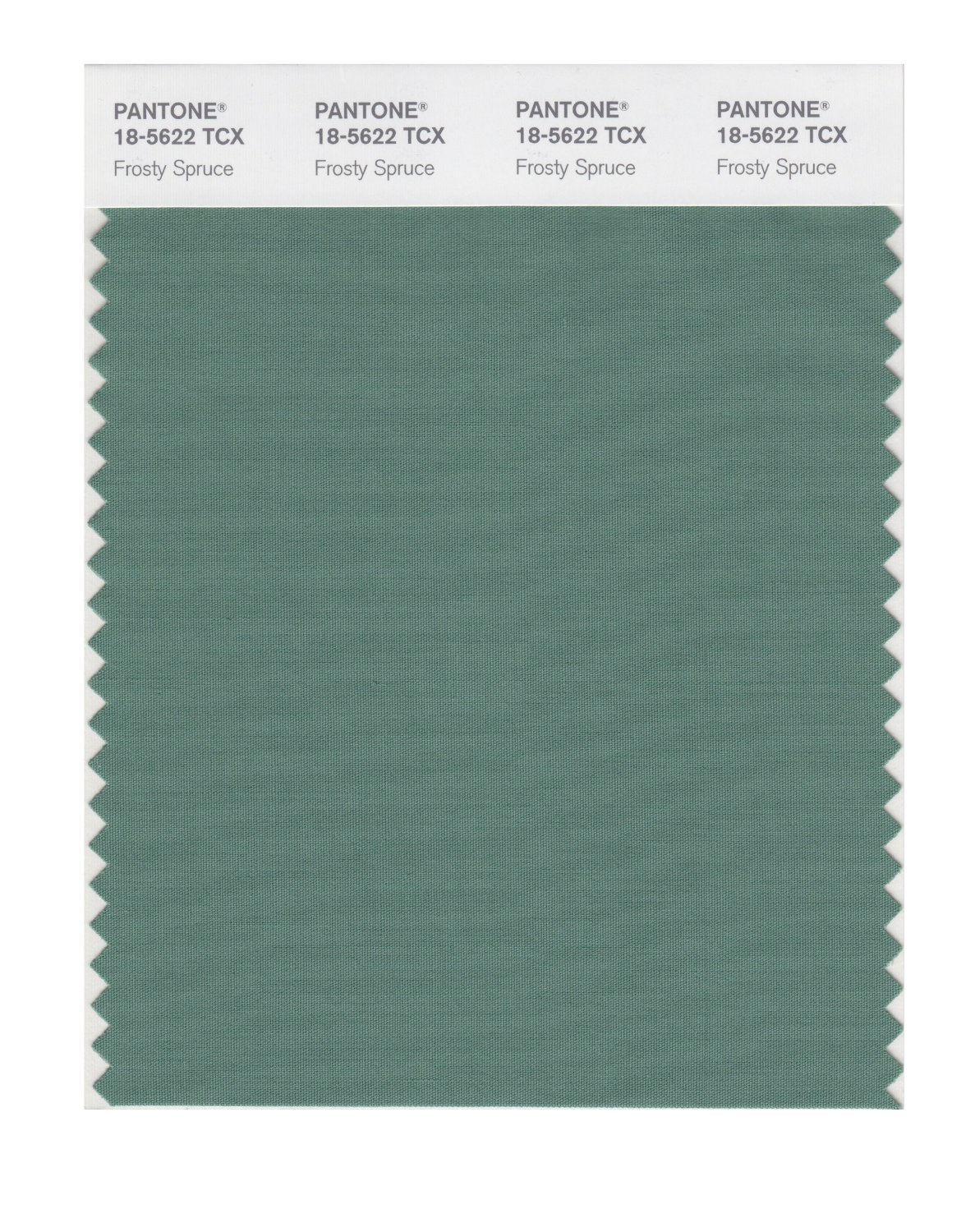 Pantone Cotton Swatch 18-5622 Frosty Spruce