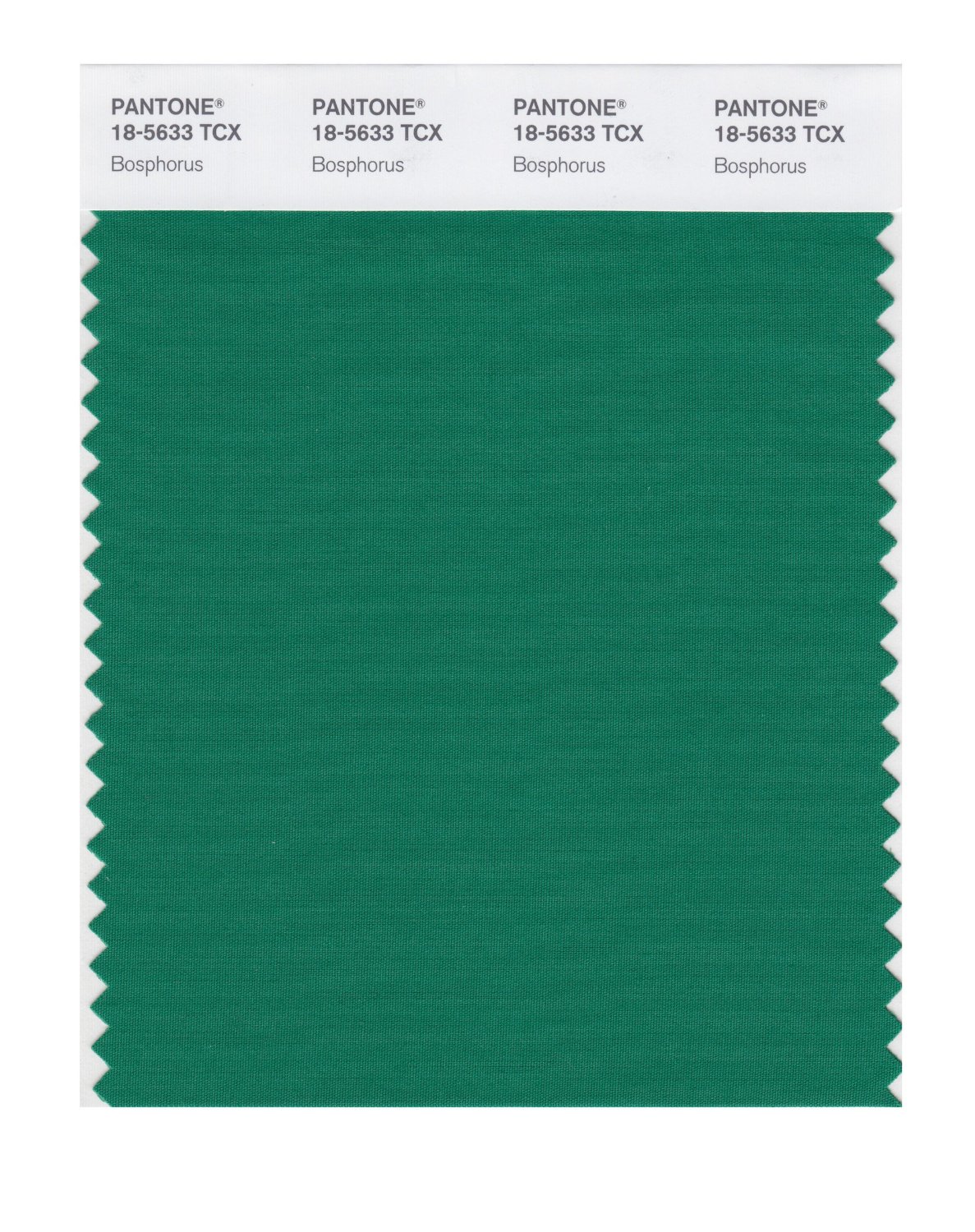 Pantone Cotton Swatch 18-5633 Bosphorus