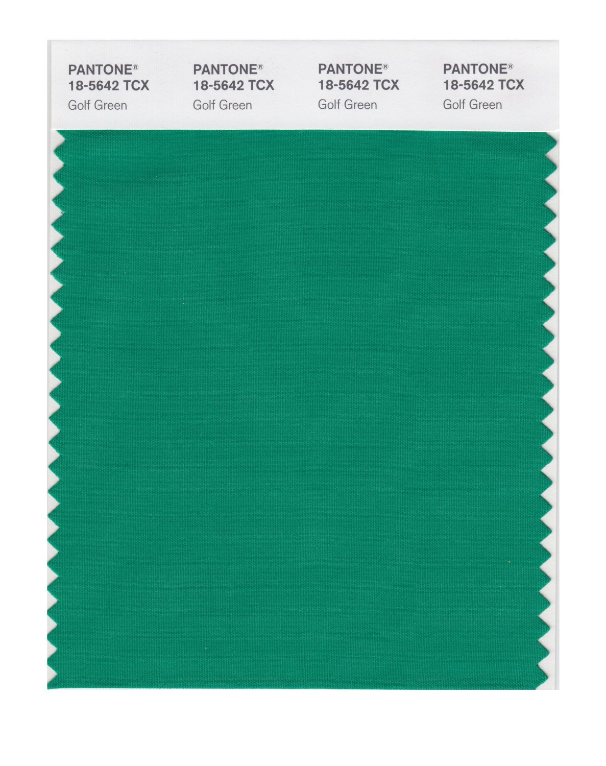 Pantone Cotton Swatch 18-5642 Golf Green