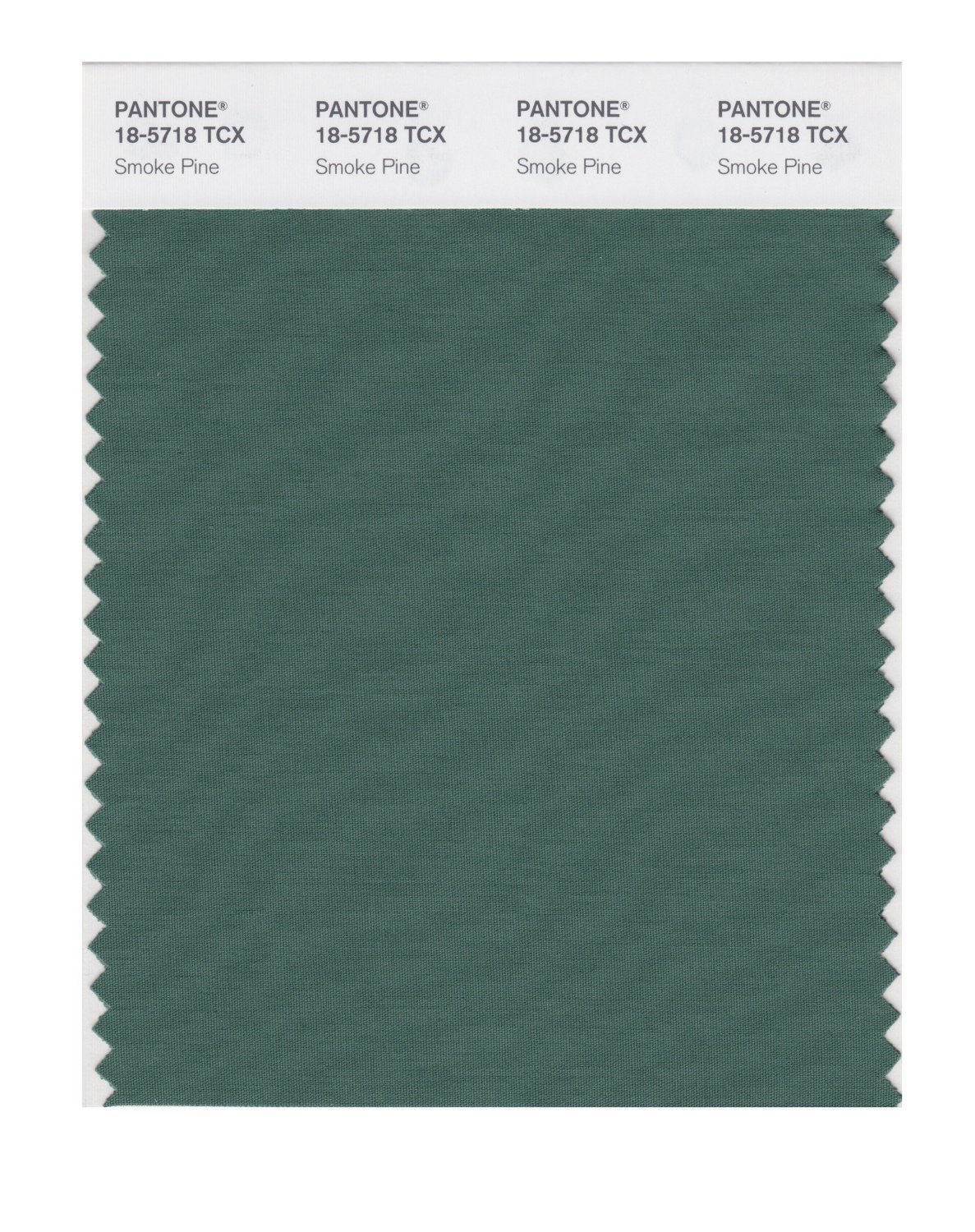 Pantone Cotton Swatch 18-5718 Smoke Pine