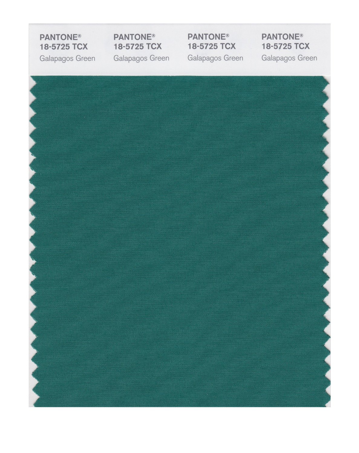 Pantone Cotton Swatch 18-5725 Galapagos Green