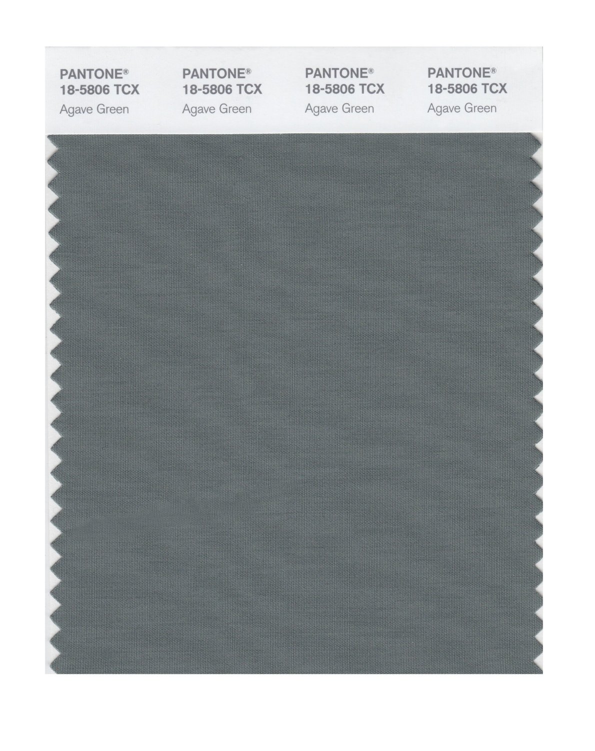Pantone Cotton Swatch 18-5806 Agave Green