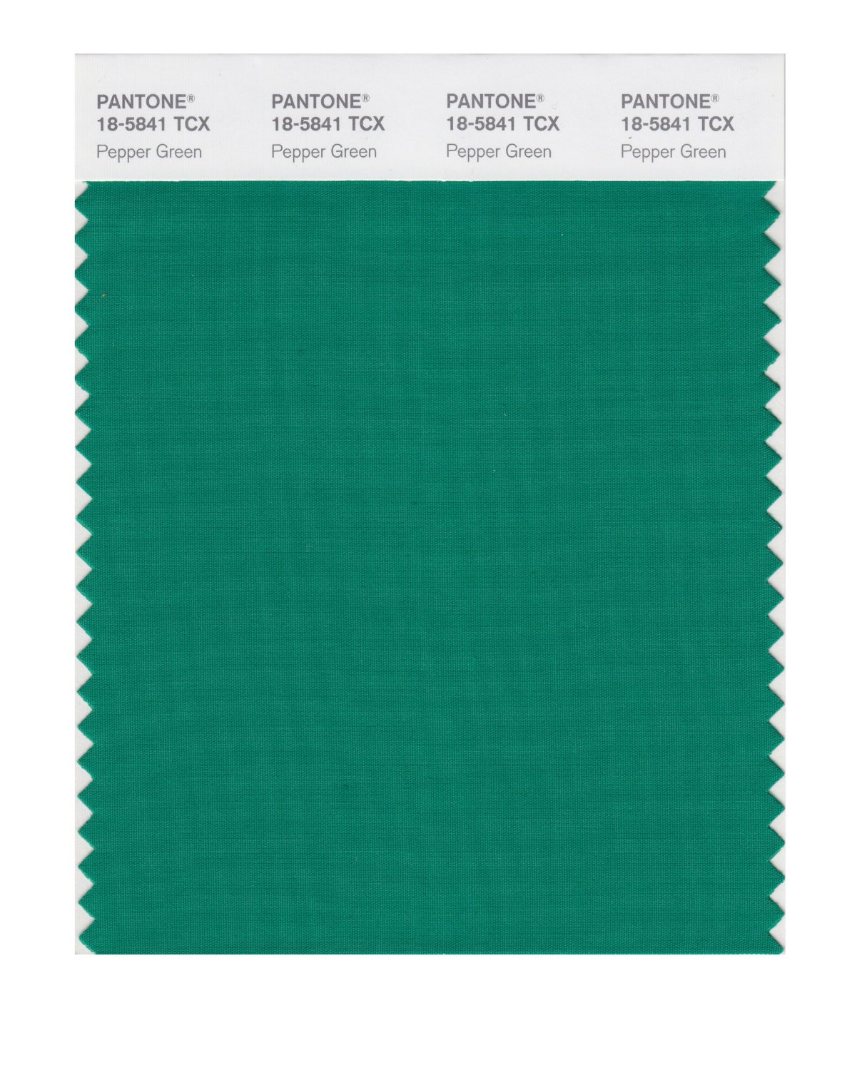 Pantone Cotton Swatch 18-5841 Pepper Green