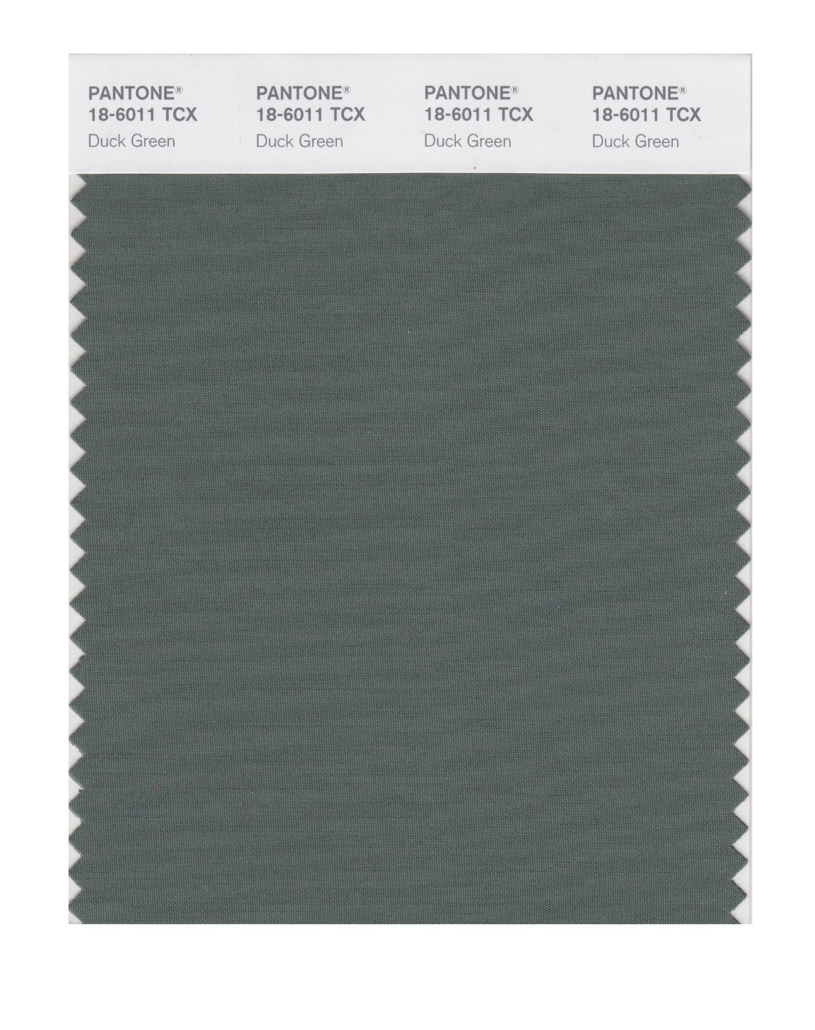 Pantone Cotton Swatch 18-6011 Duck Green
