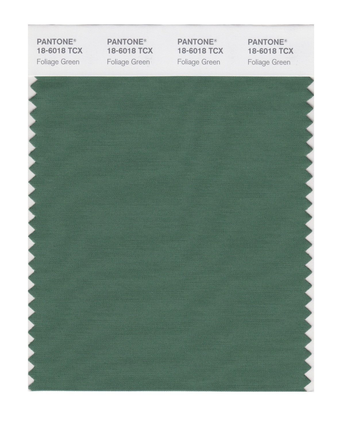 Pantone Cotton Swatch 18-6018 Foliage Green