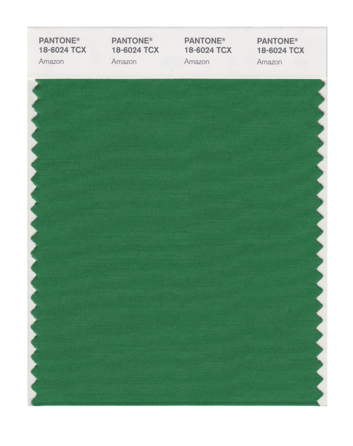 Pantone Cotton Swatch 18-6024 Amazon